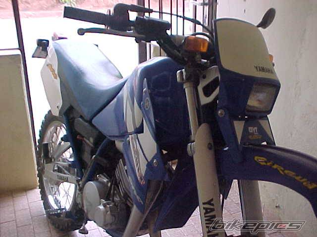 Photo 270009