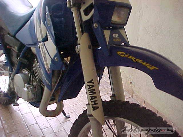 Photo 270010