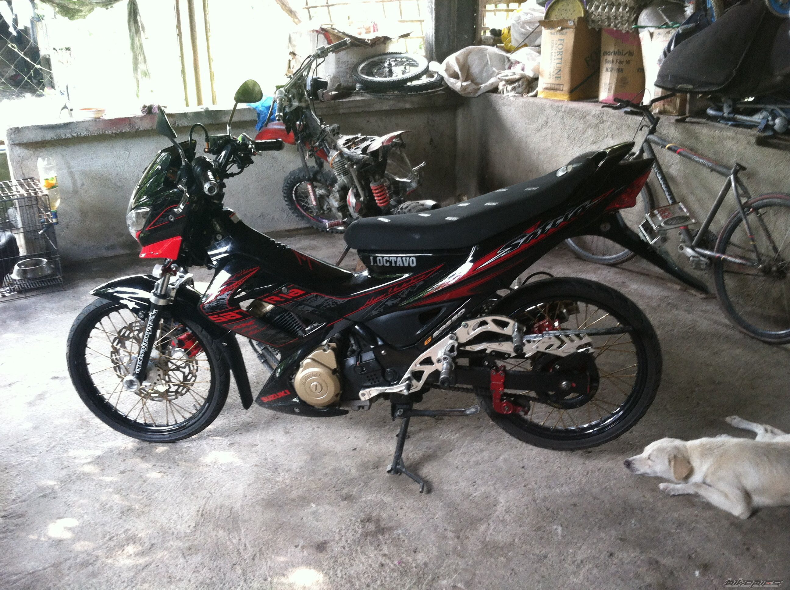 Photo 2700254