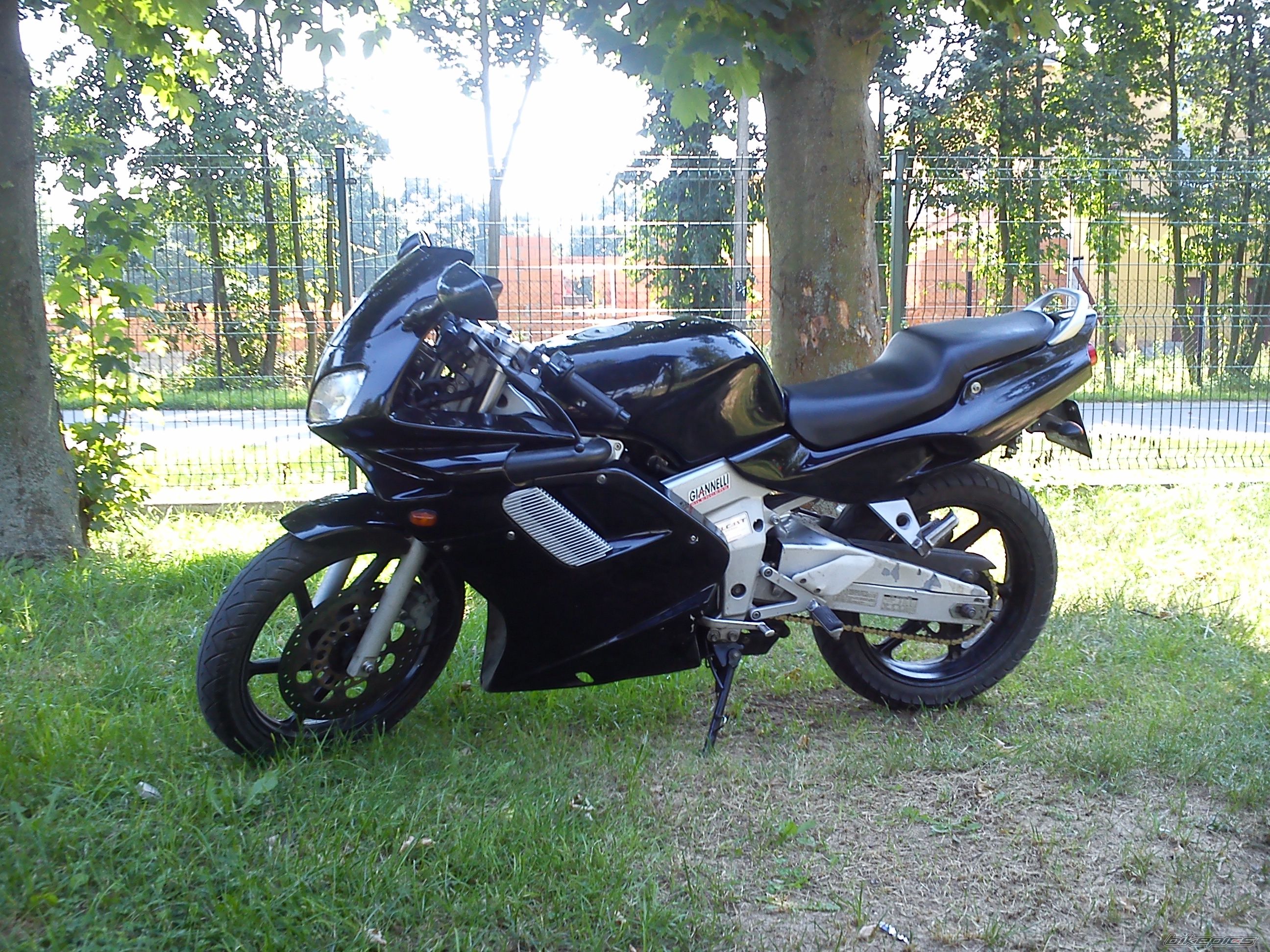 Photo 2700255
