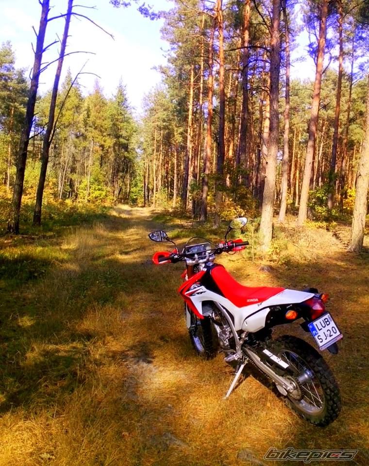 Photo 2700383