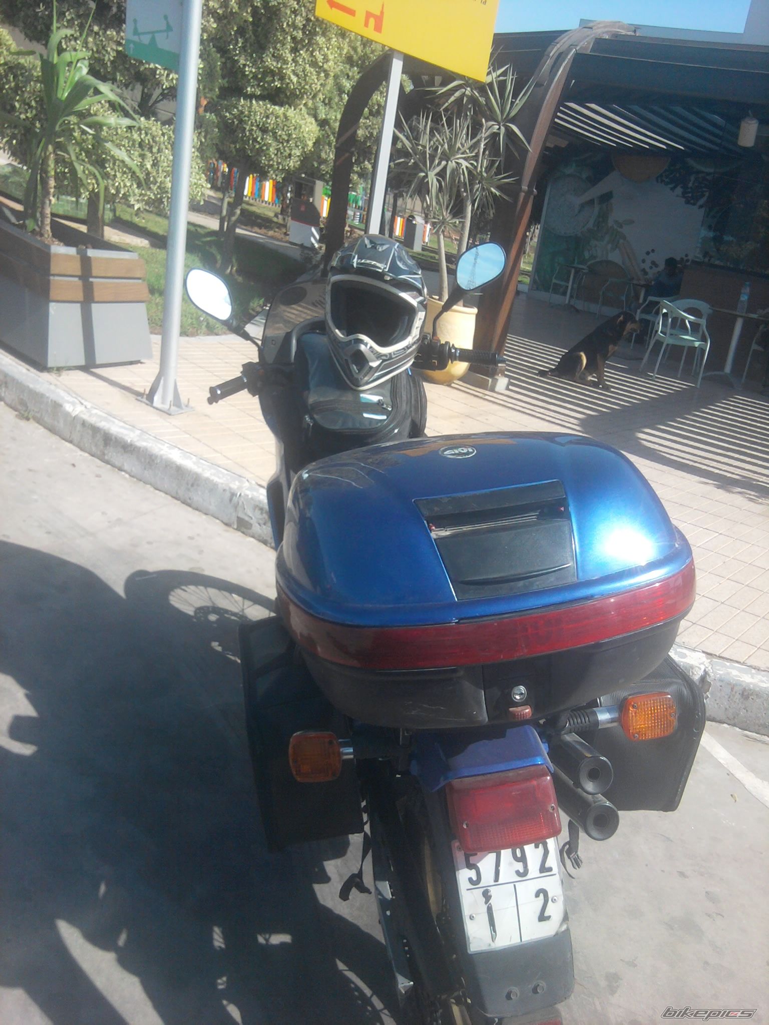 Photo 2700458