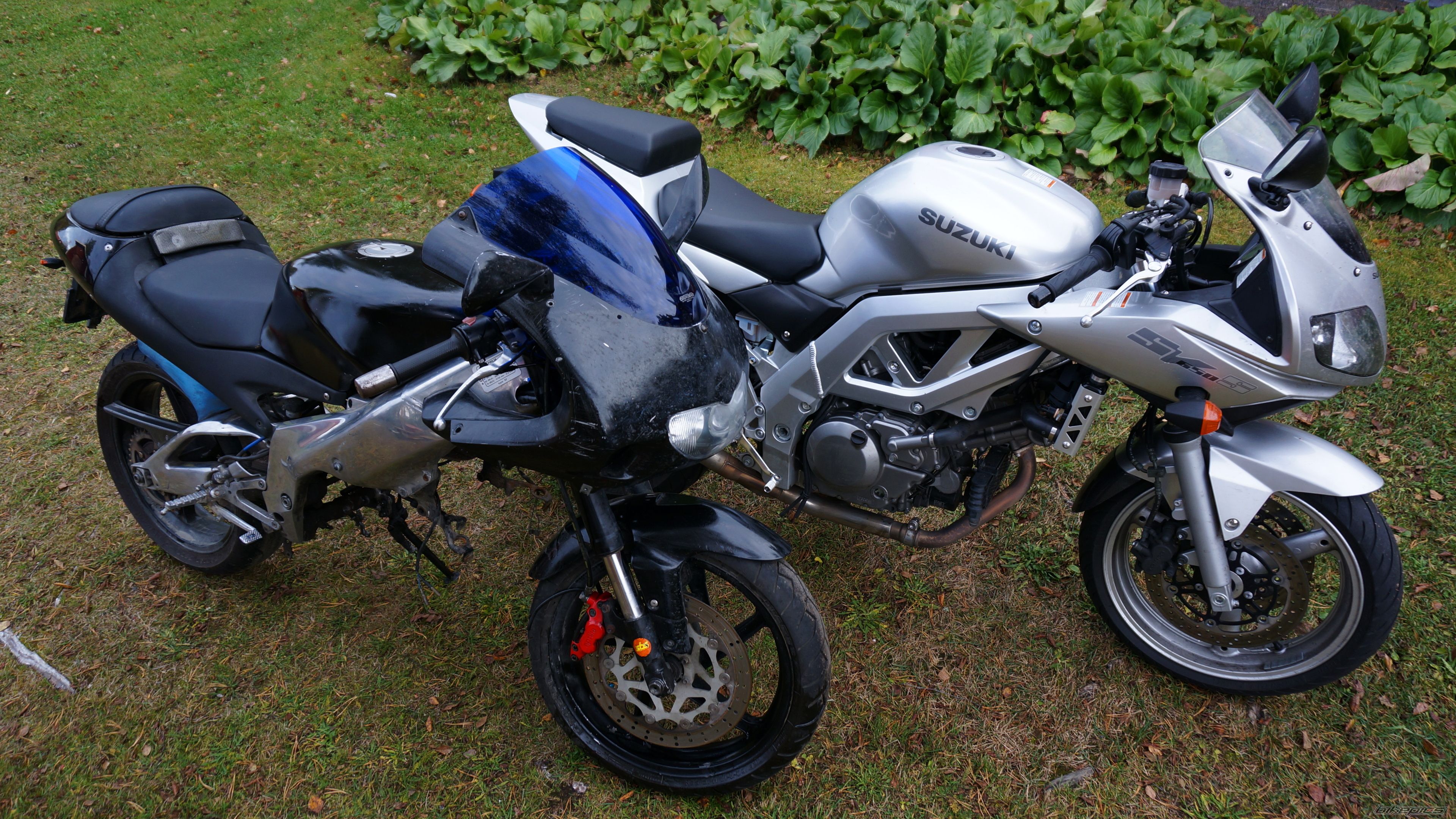 Photo 2700522