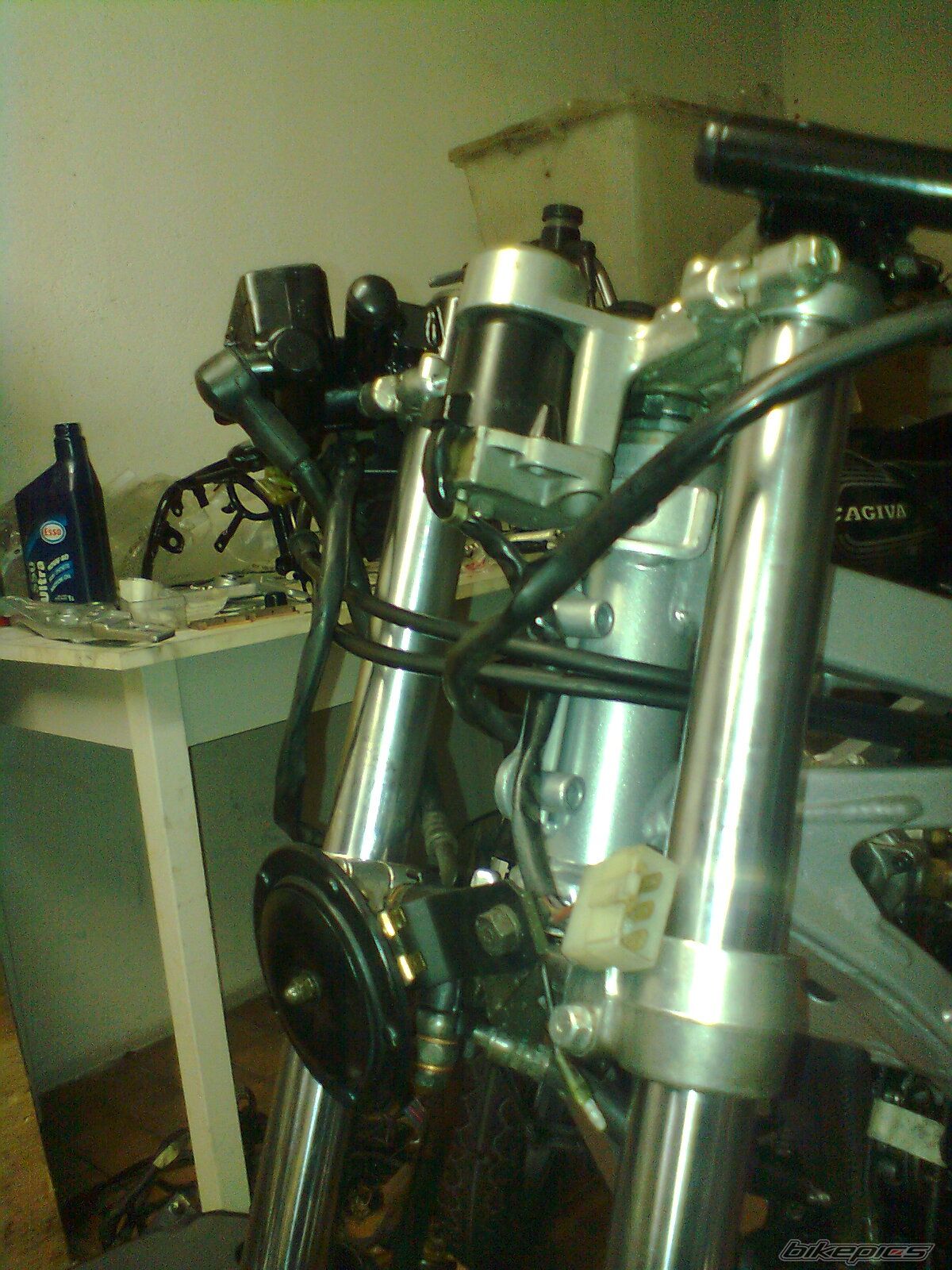 Photo 2700636