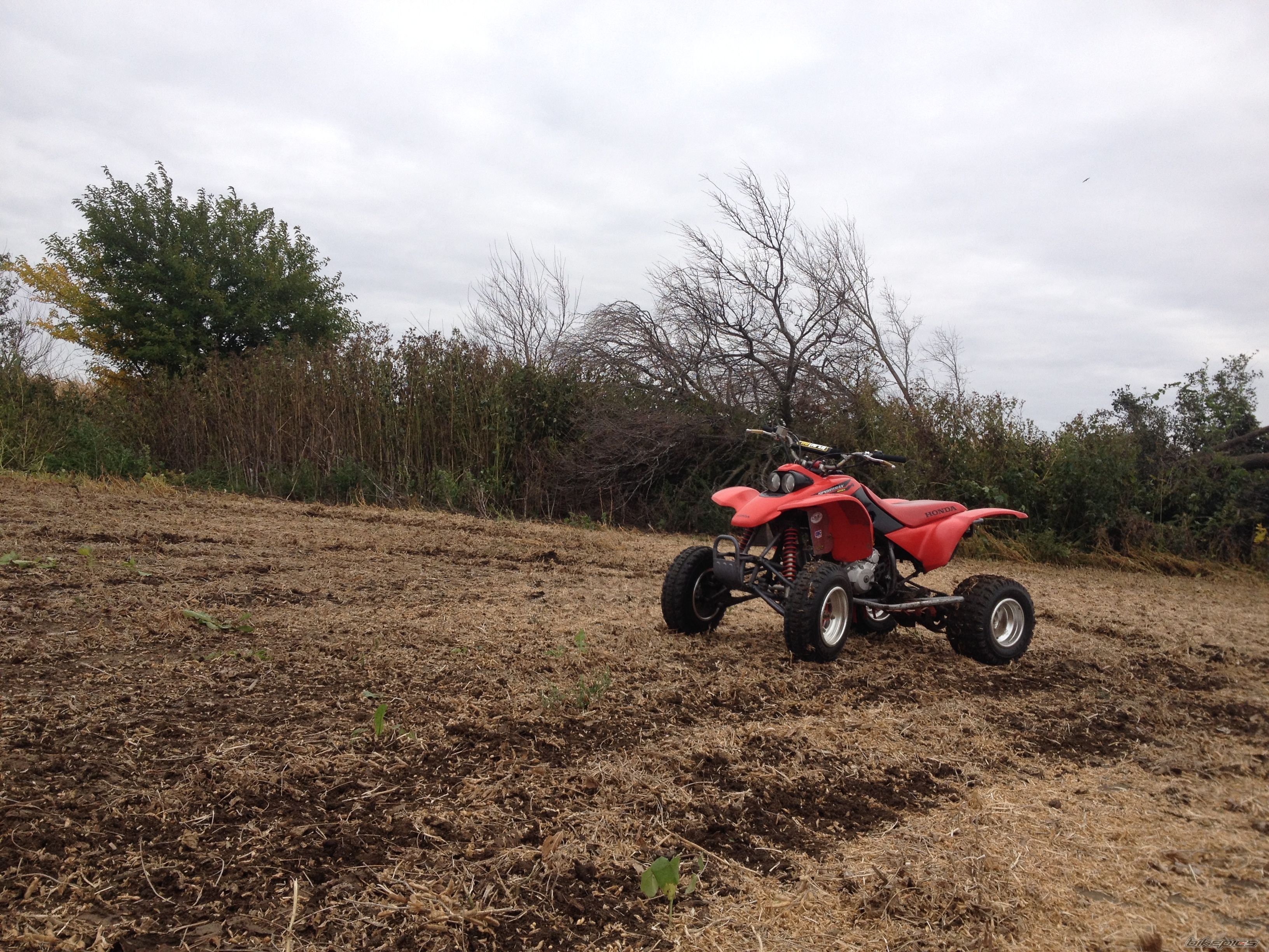 Photo 2700684