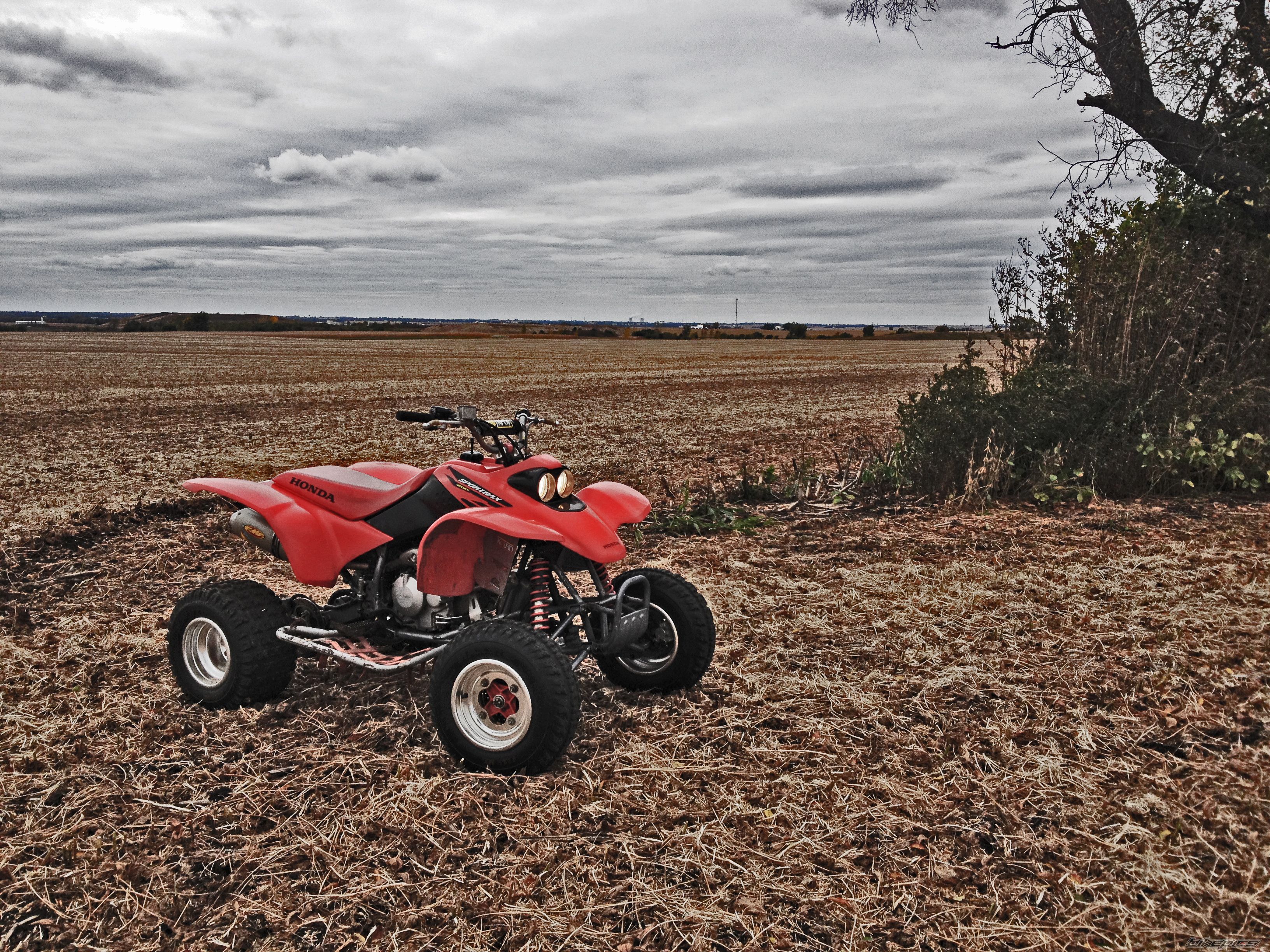 Photo 2700686