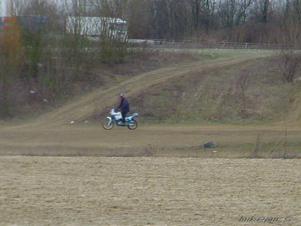 Photo 270073
