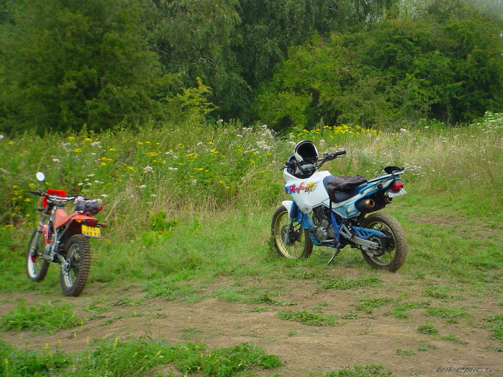 Bike Photo 270076