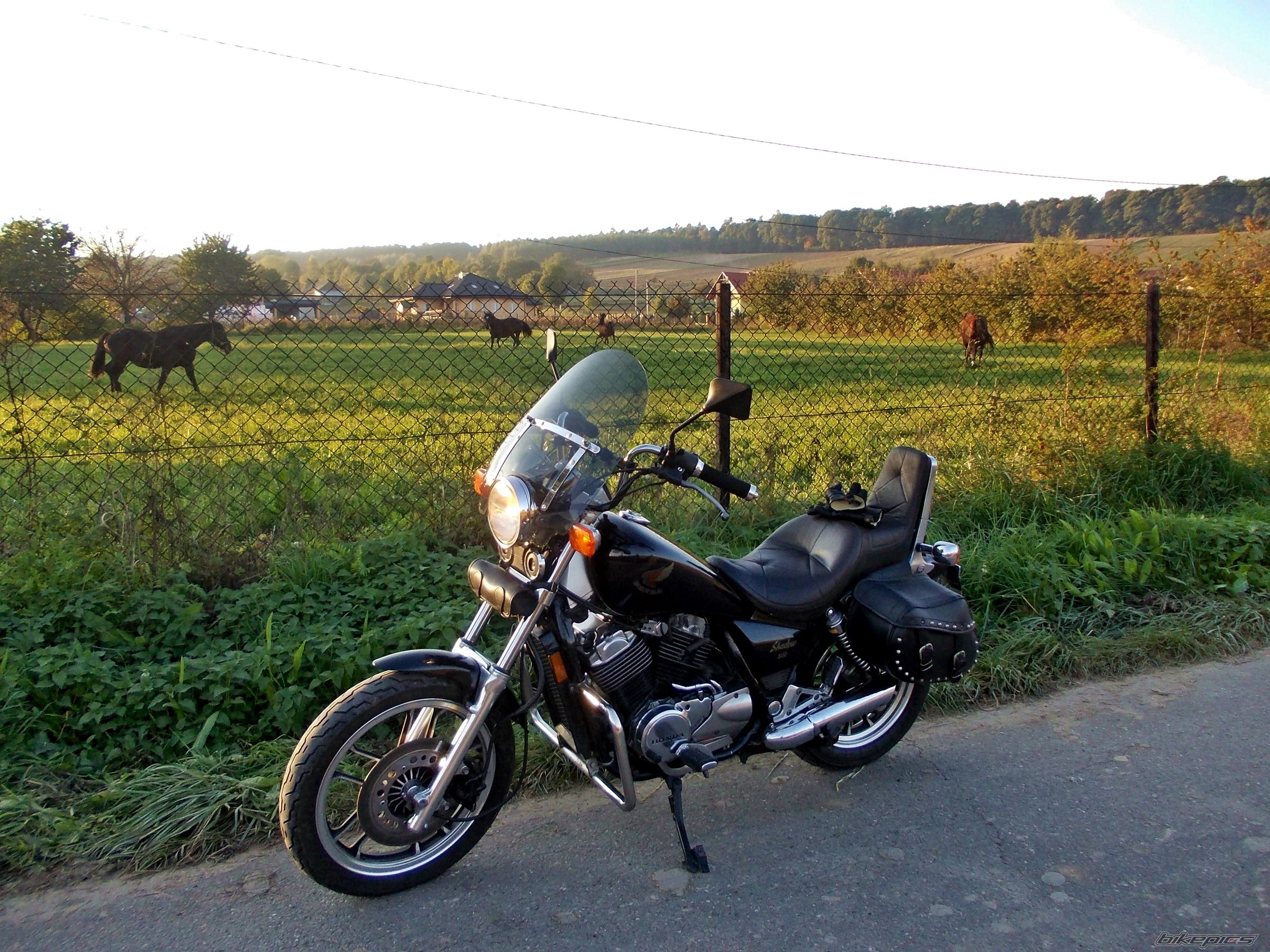 Photo 2700772
