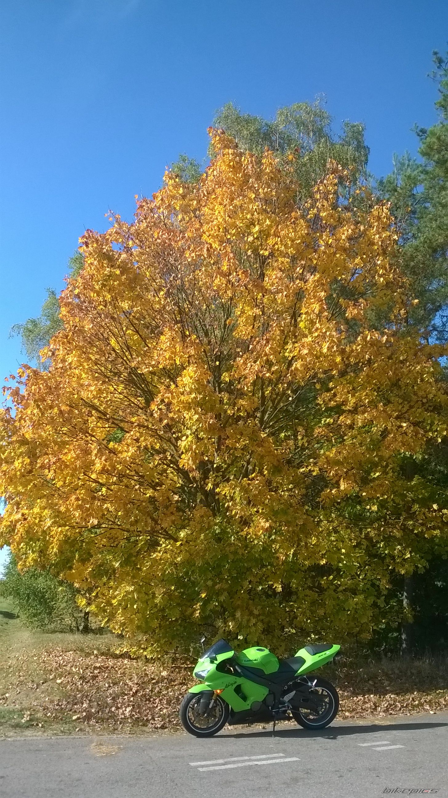 Photo 2700773