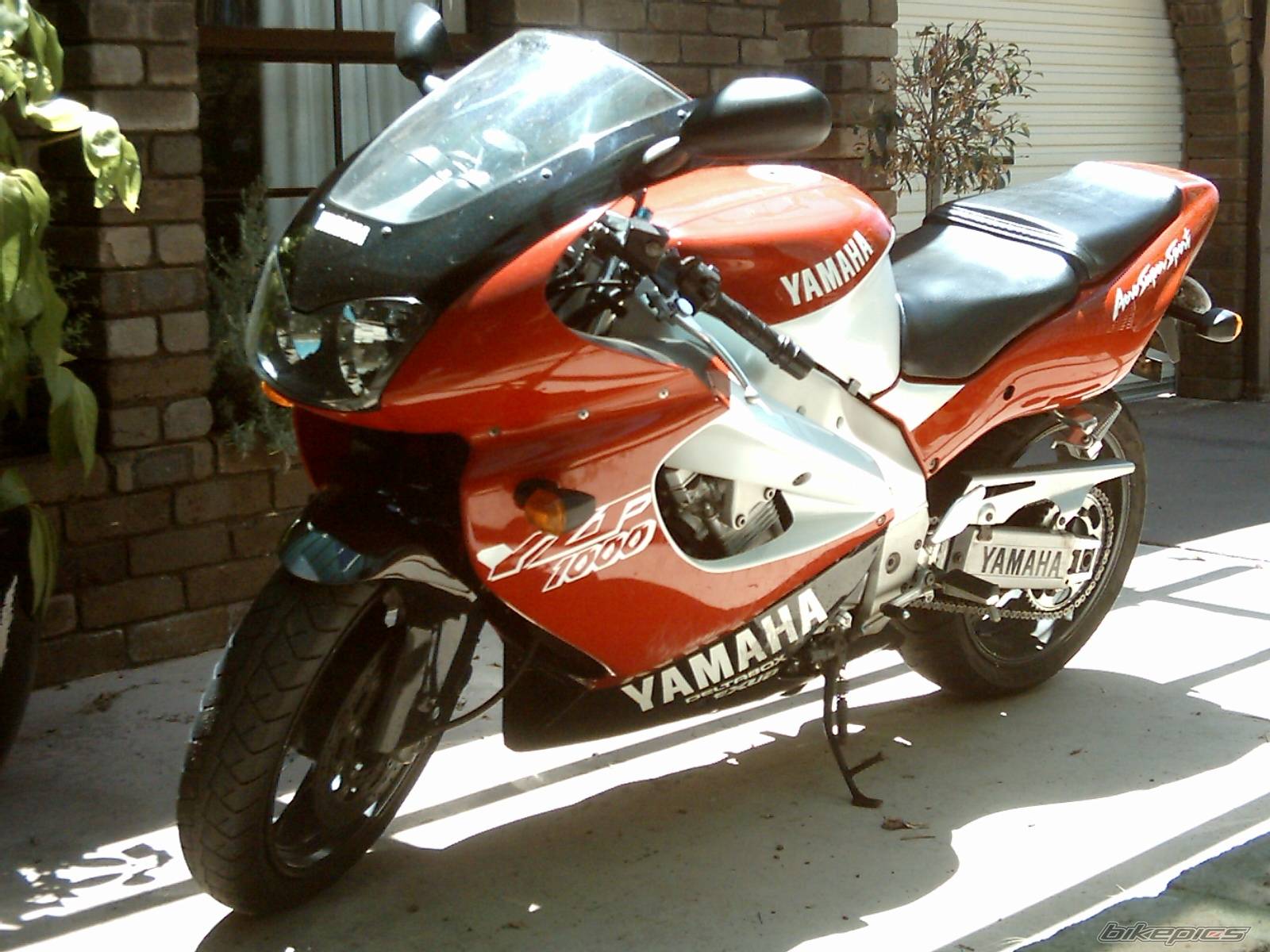 Photo 270079