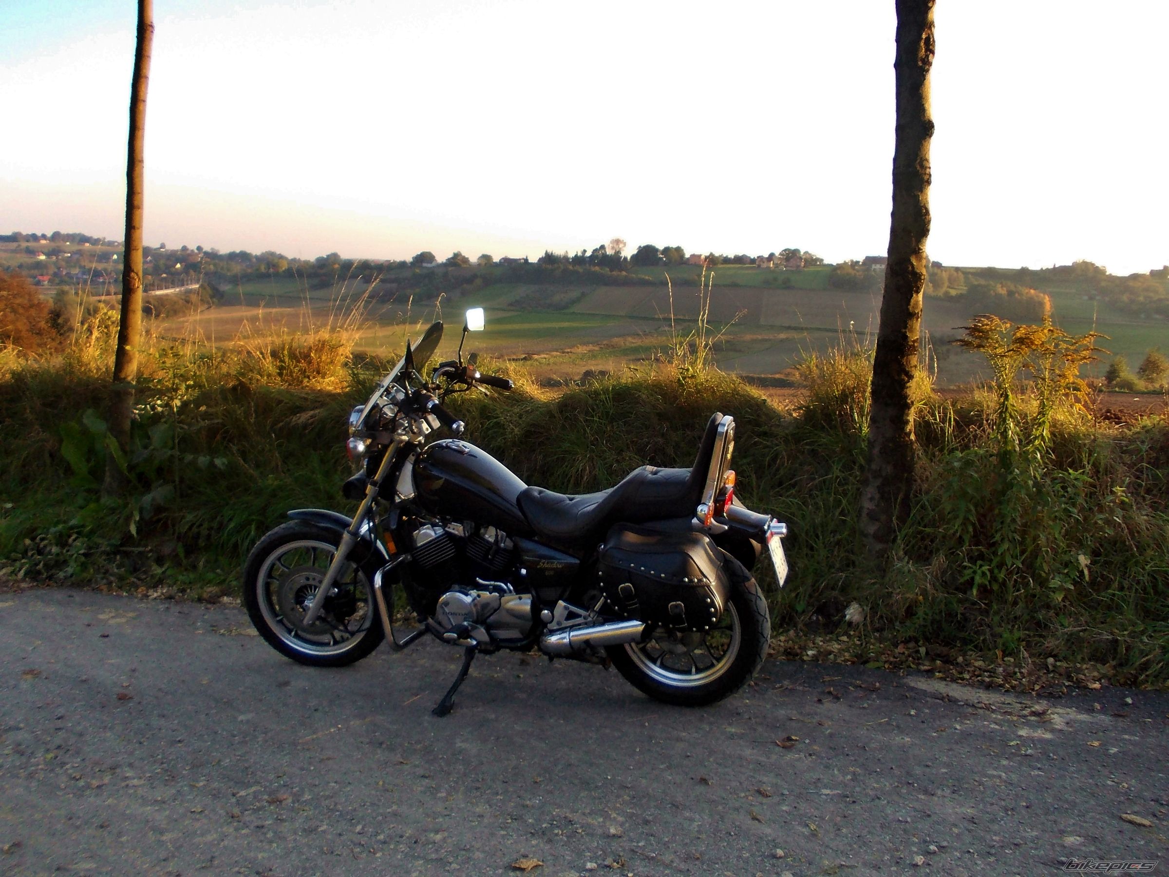 Photo 2700823