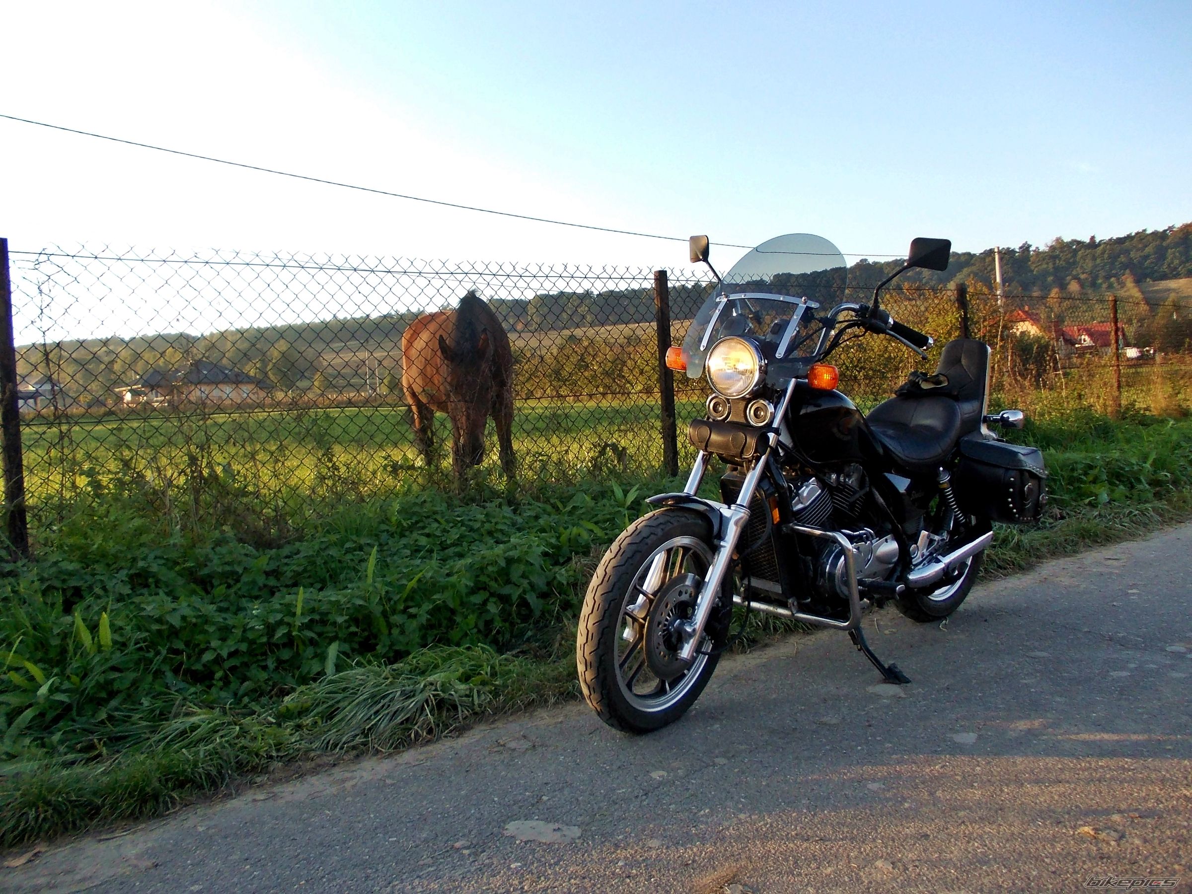 Photo 2700824