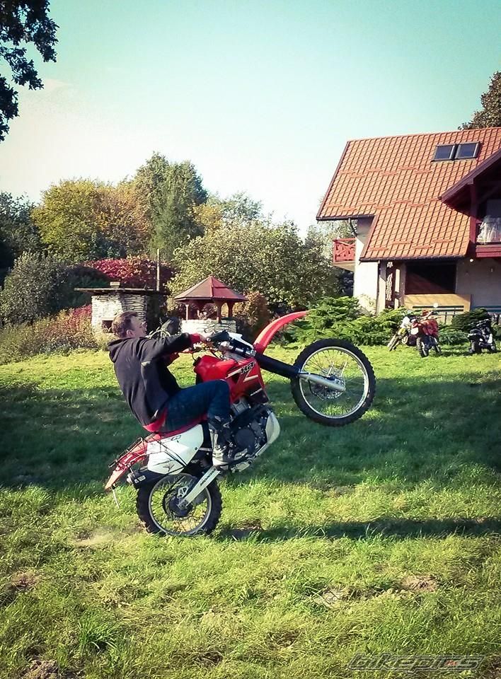 Photo 2701011
