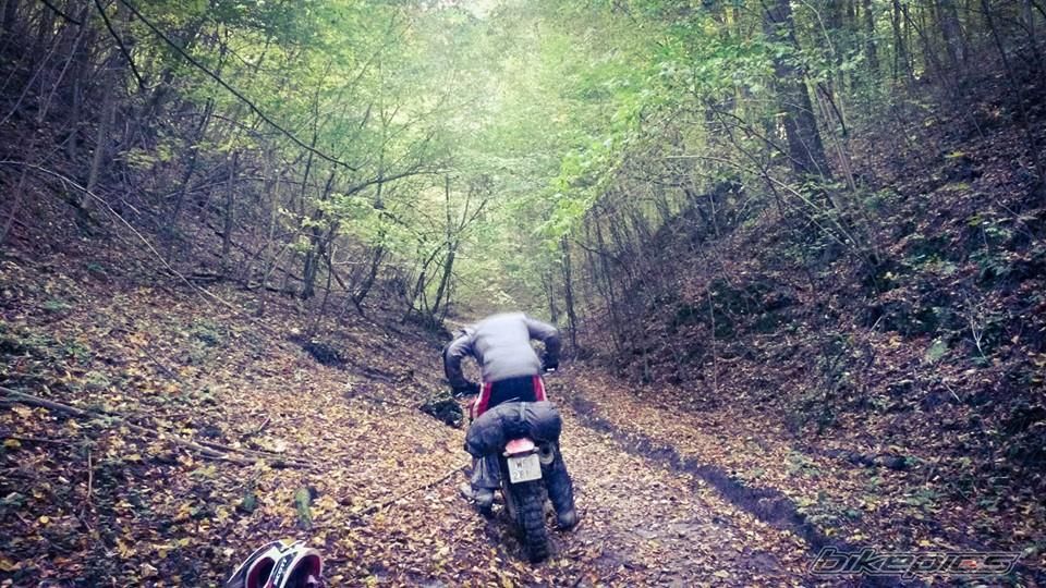 Bike Photo 2701016