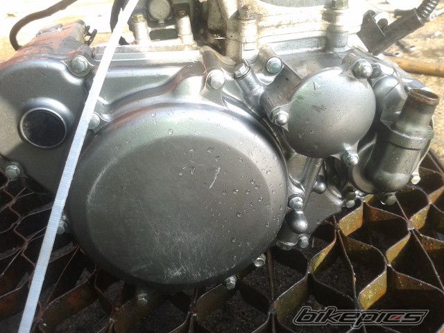 Photo 2701023