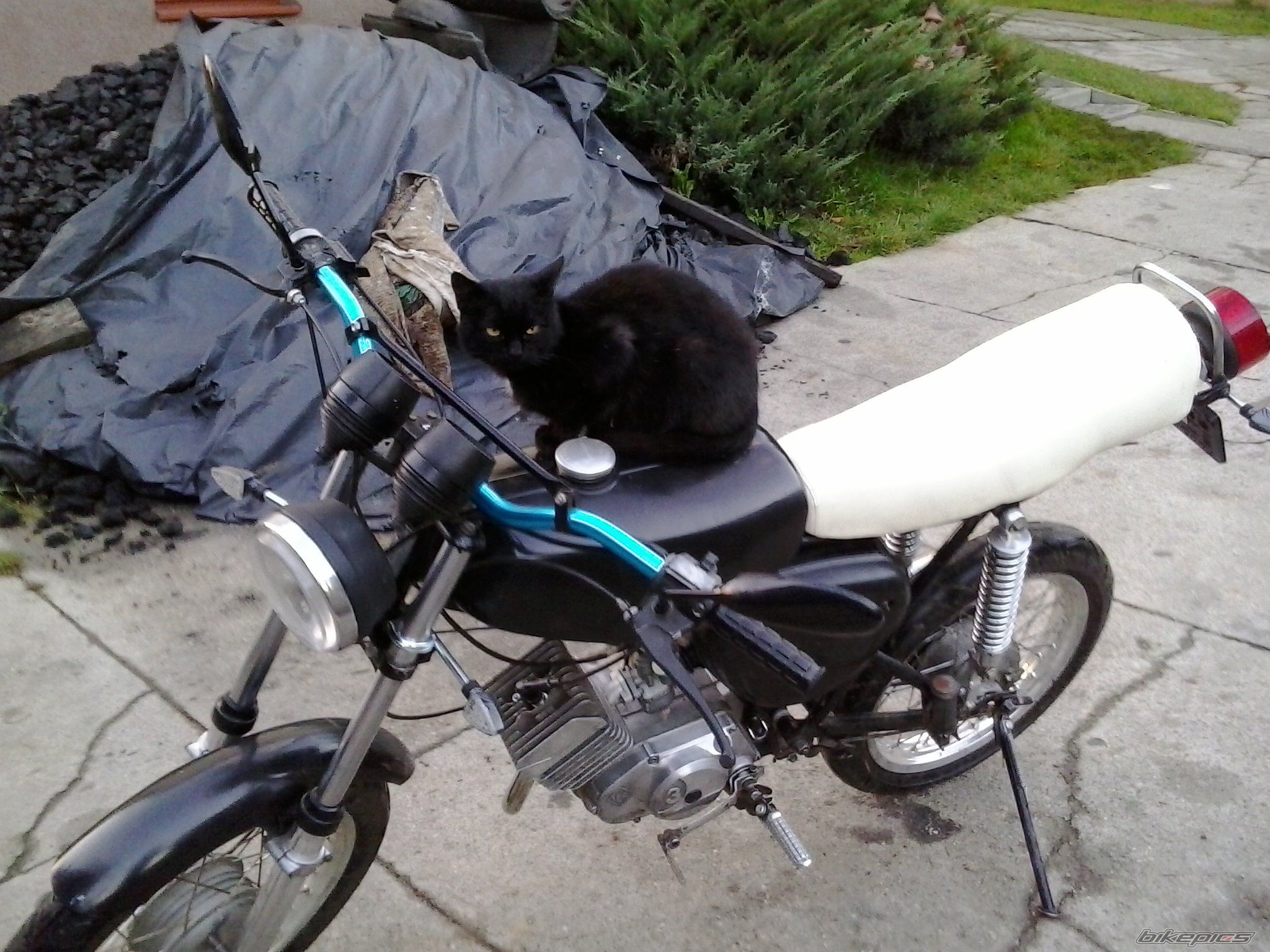 Bike Photo 2701256