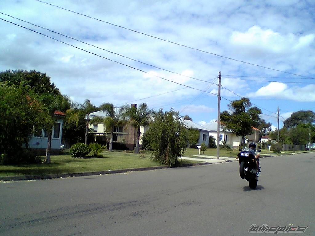 Photo 270129