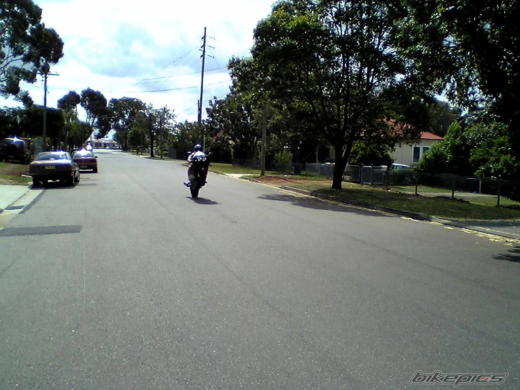 Photo 270130