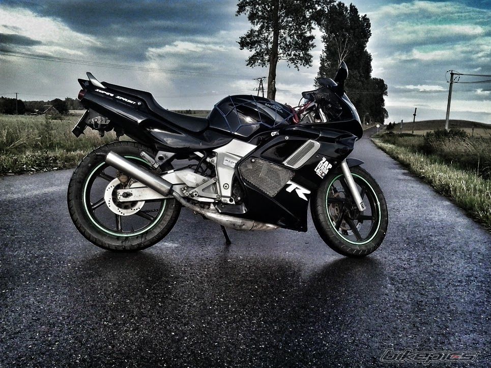 Photo 2701373