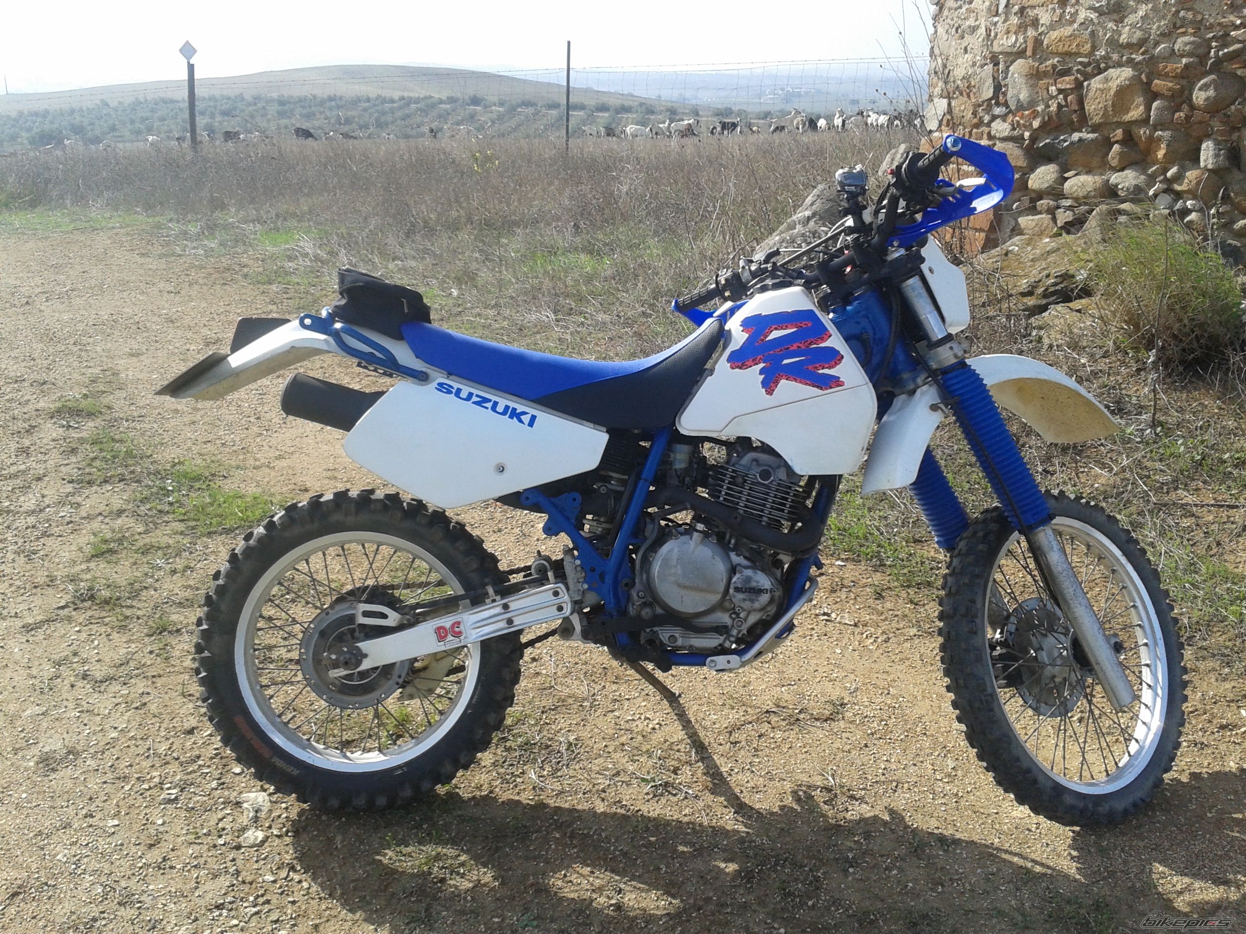 Photo 2701474
