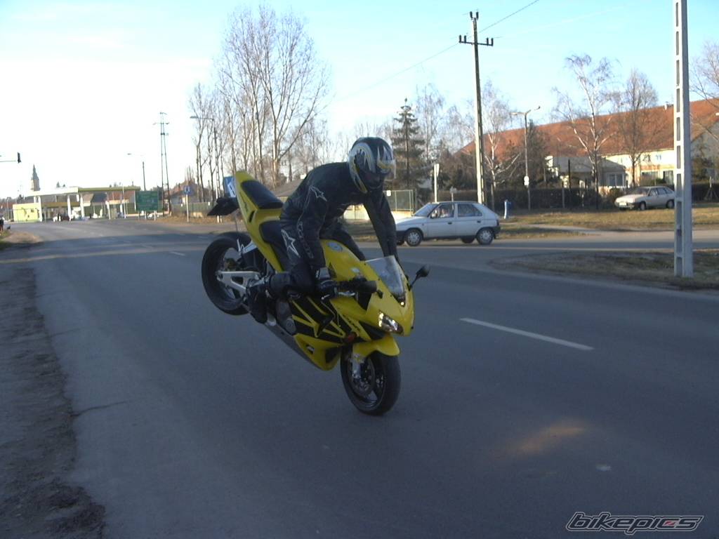 Photo 270195