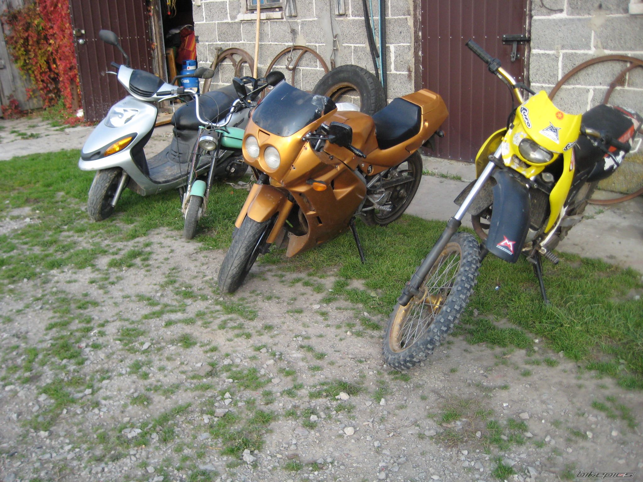 Photo 2702031