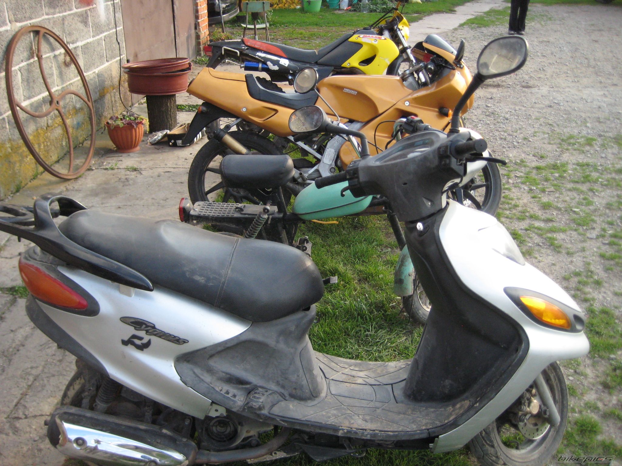 Photo 2702036