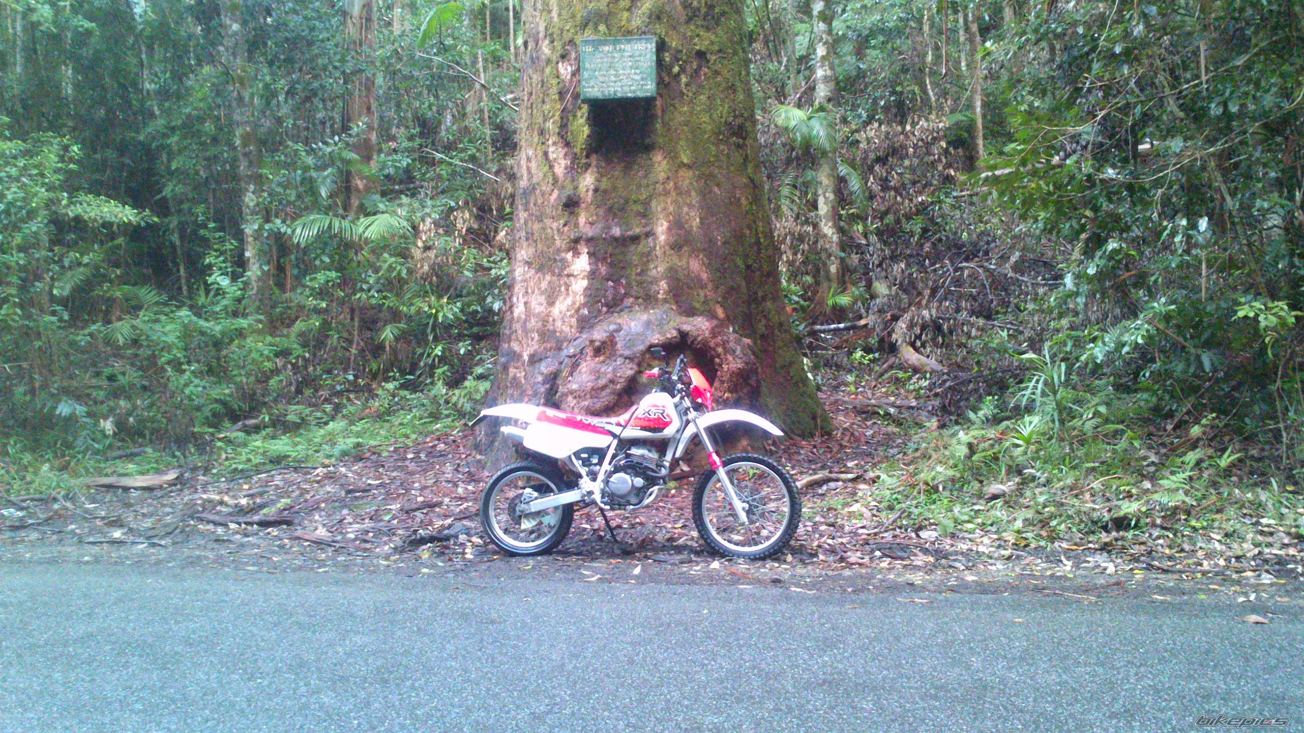 Photo 2702124