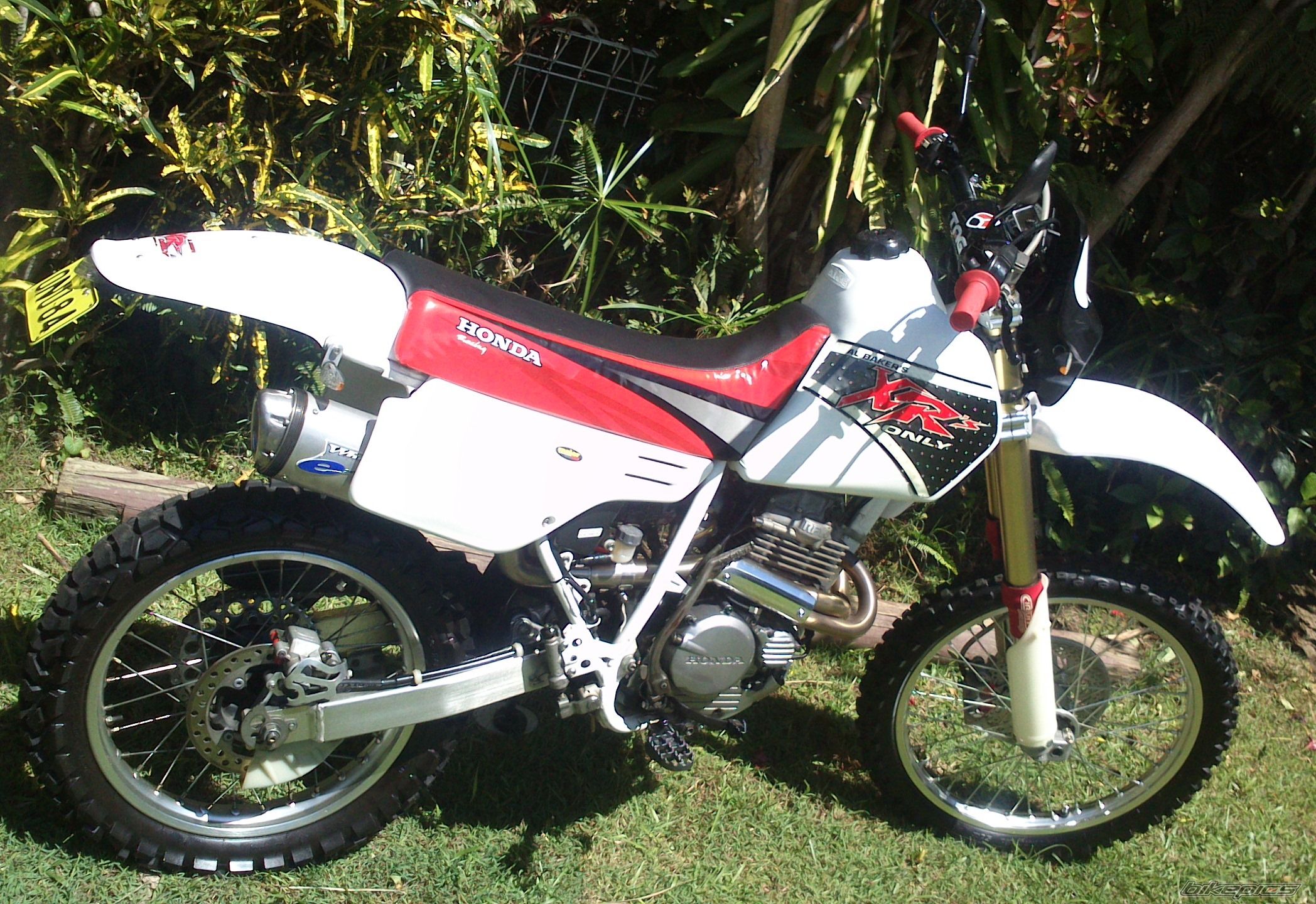 Photo 2702132