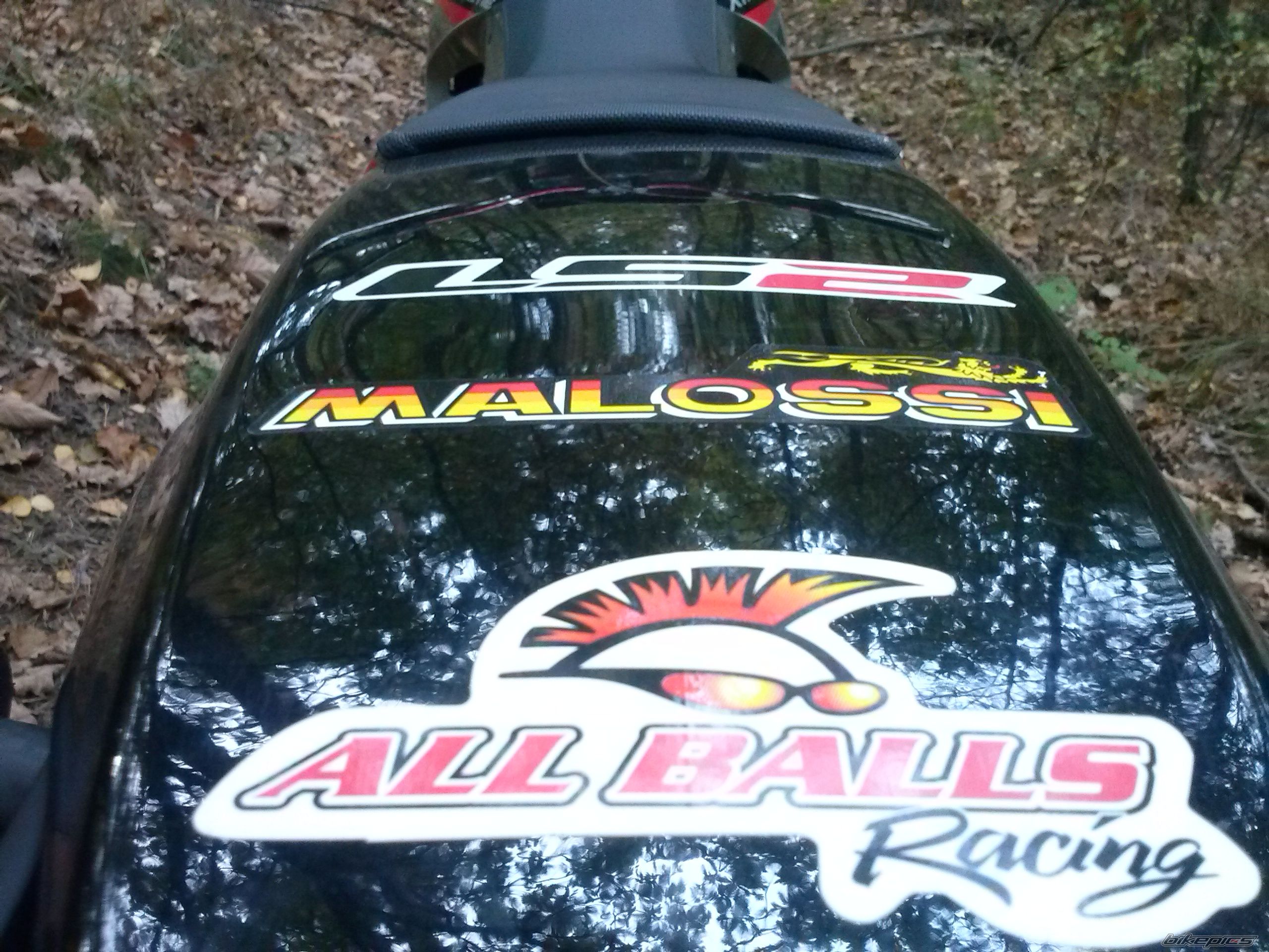 Photo 2702134