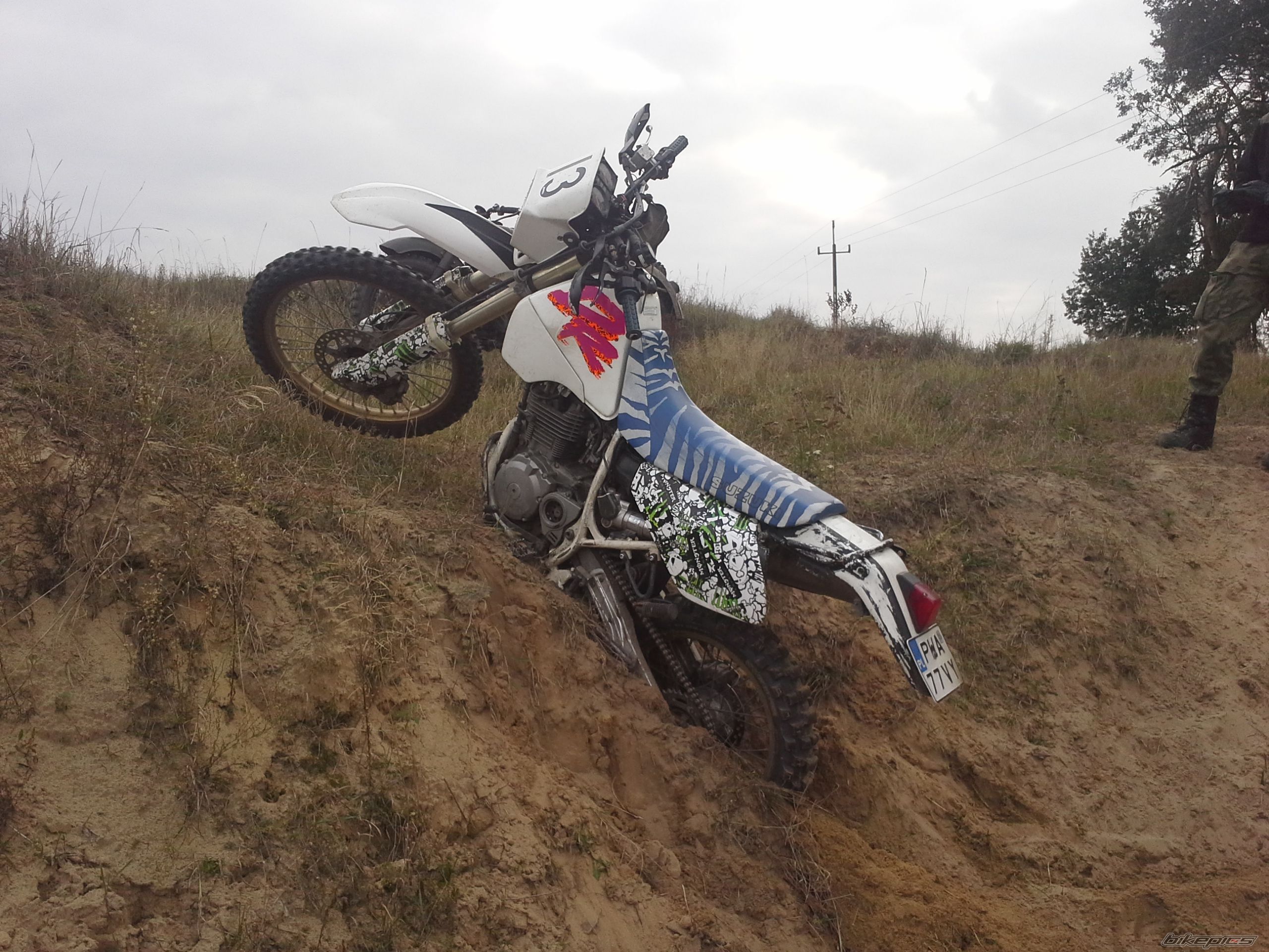 Photo 2702263
