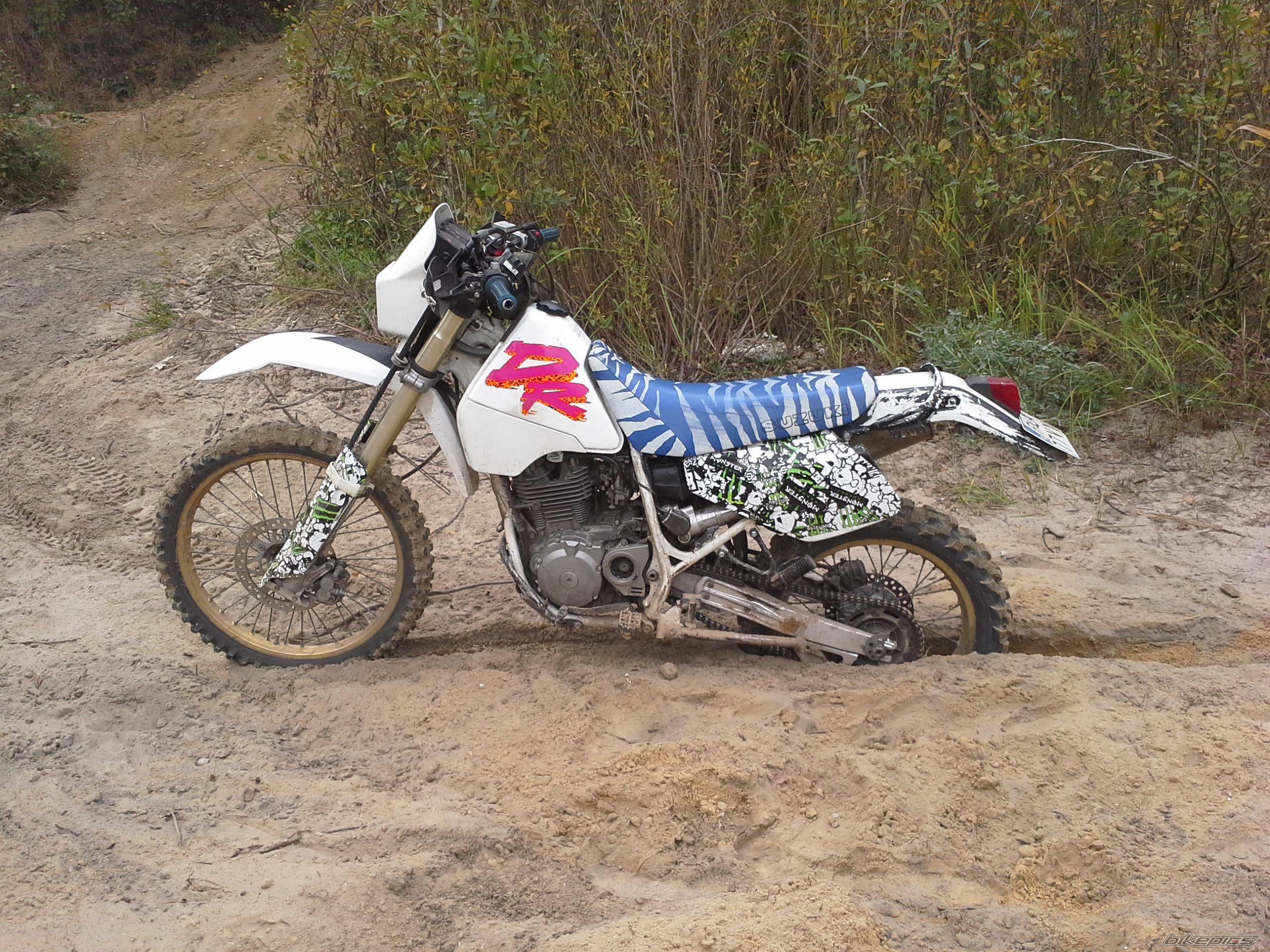Photo 2702267