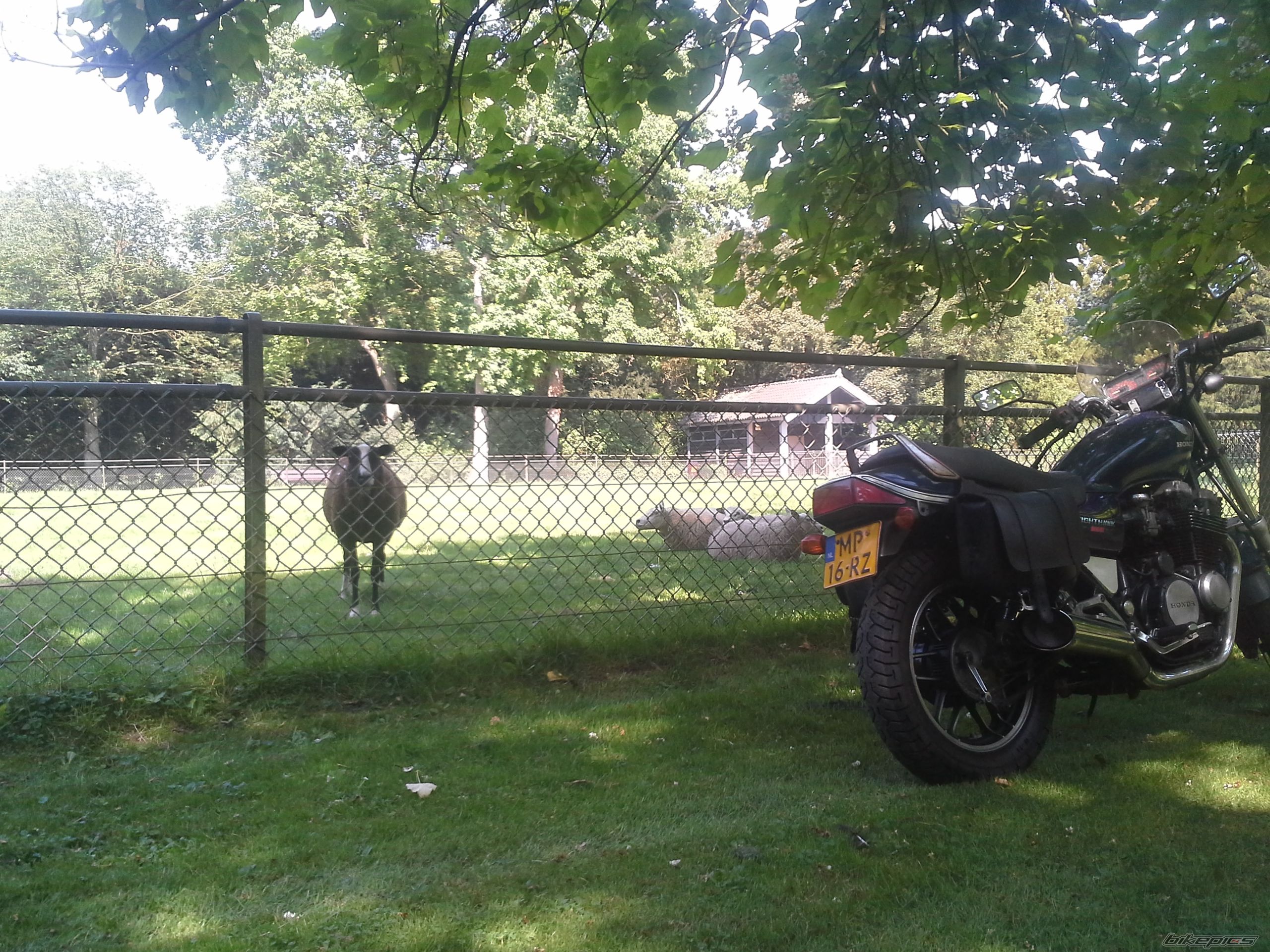Photo 2702329