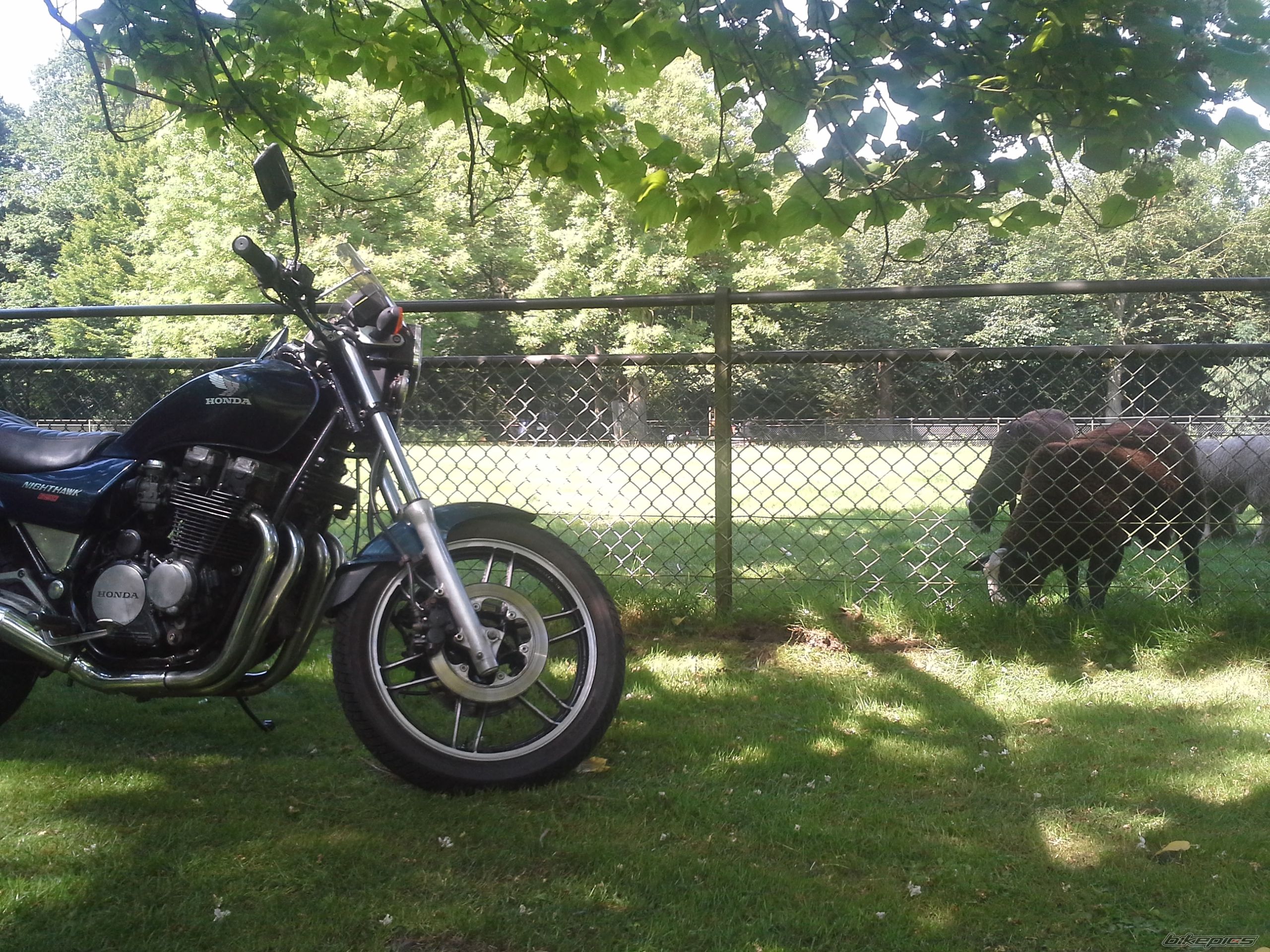 Photo 2702330