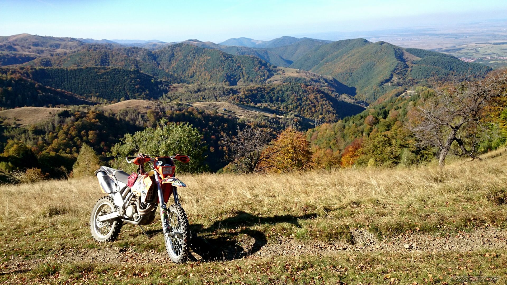 Photo 2702362