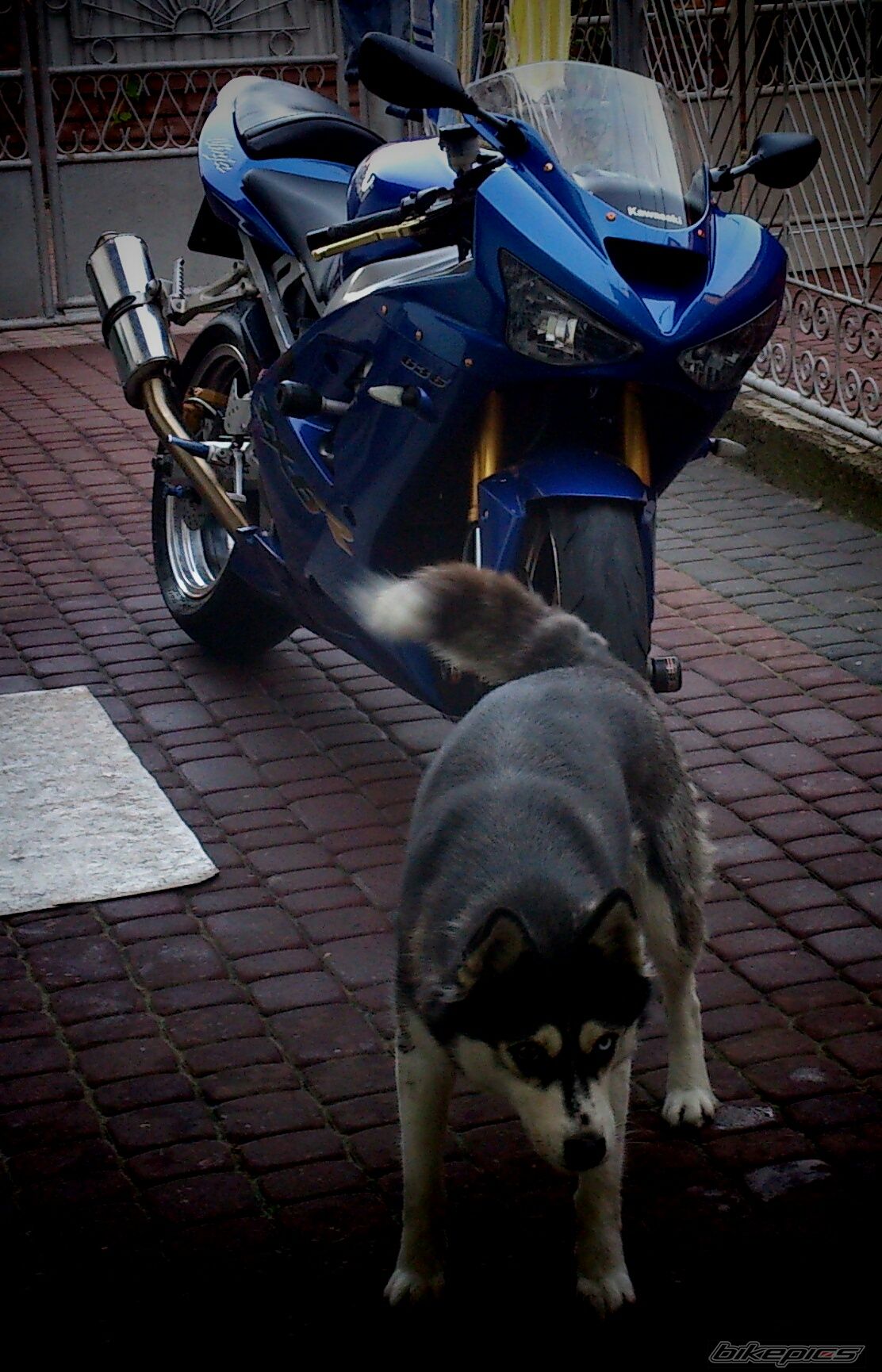 Bike Photo 2702393