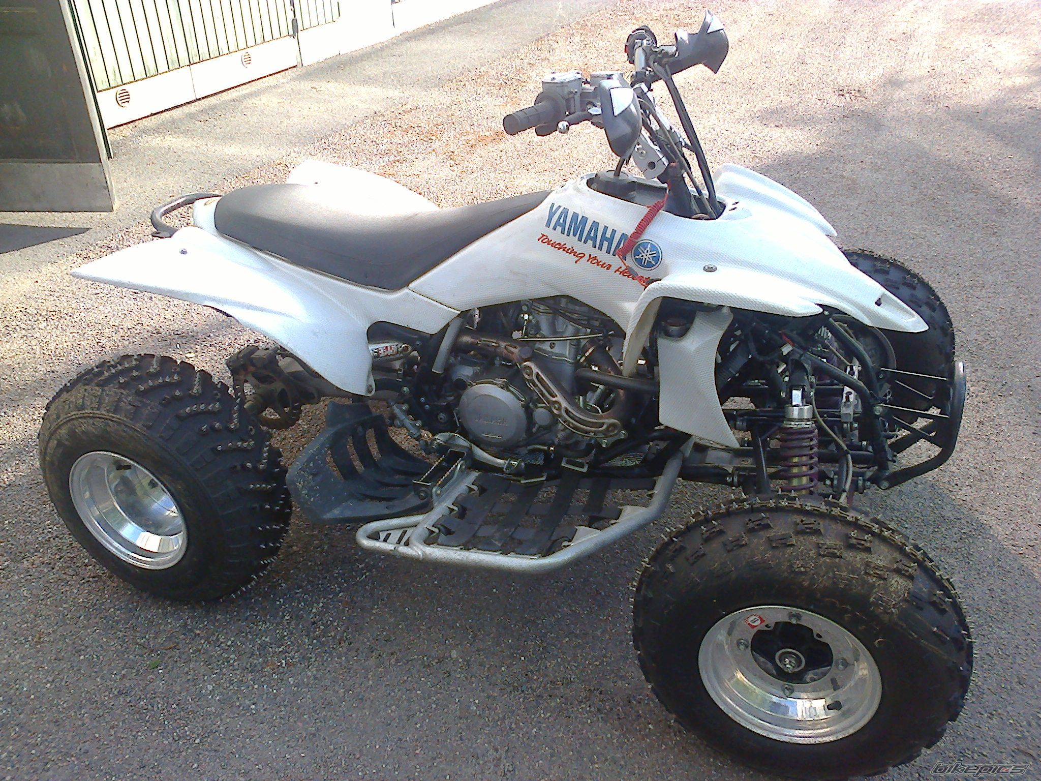 Photo 2702437