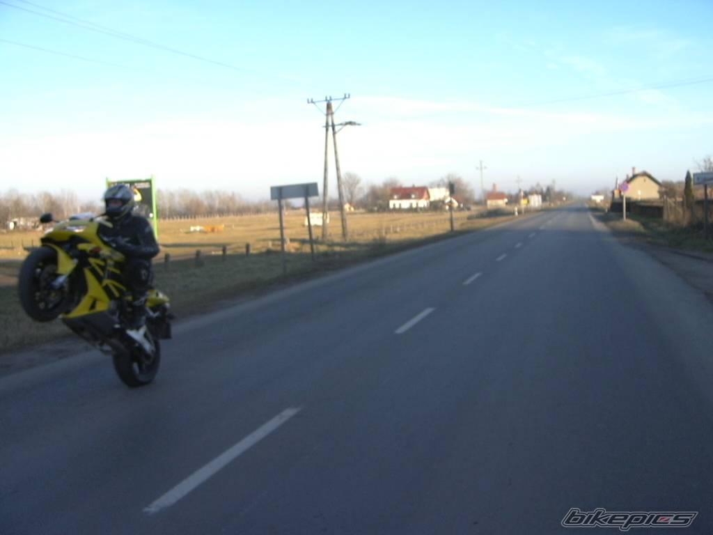 Photo 270246