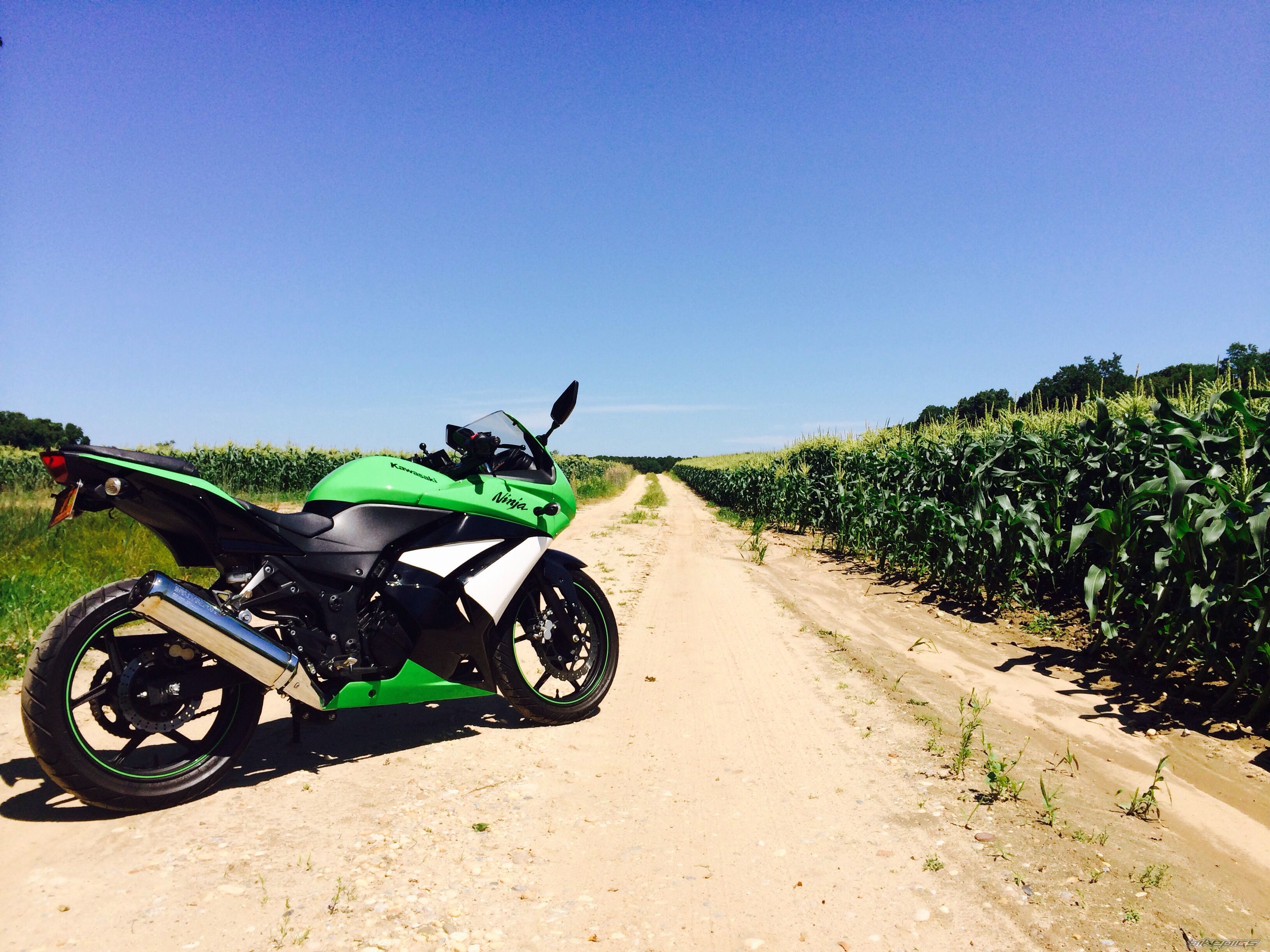 Photo 2702527
