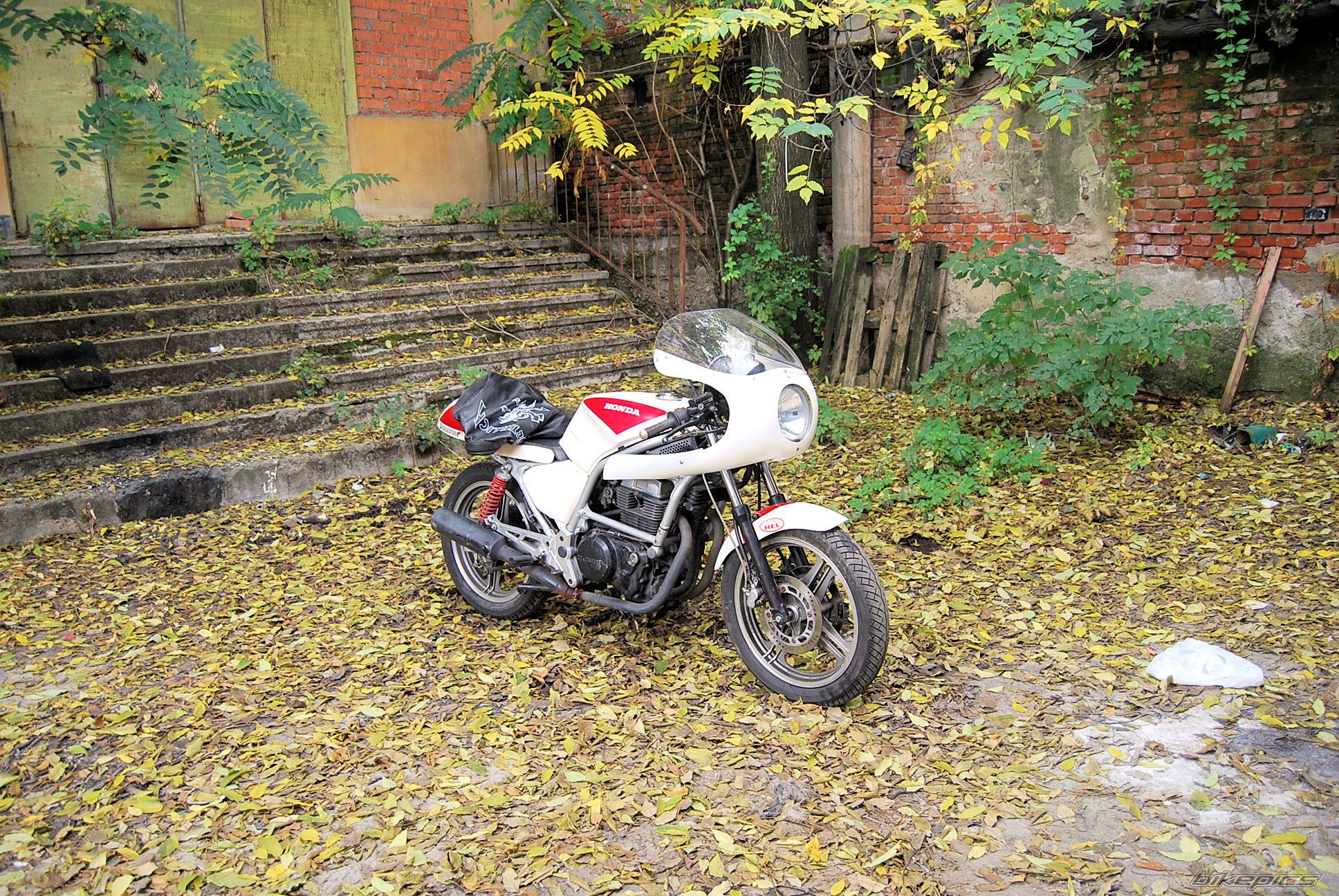 Photo 2702715
