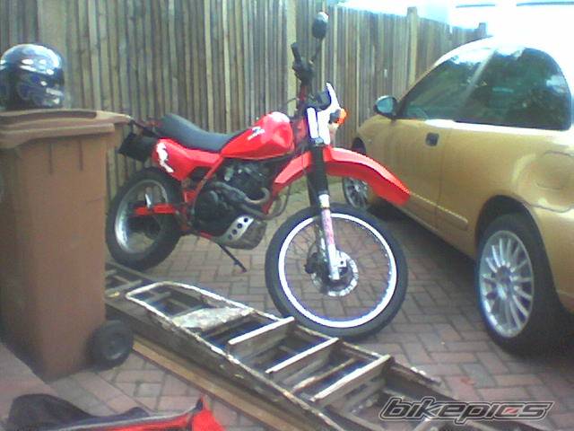 Photo 270274