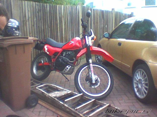 Photo 270275