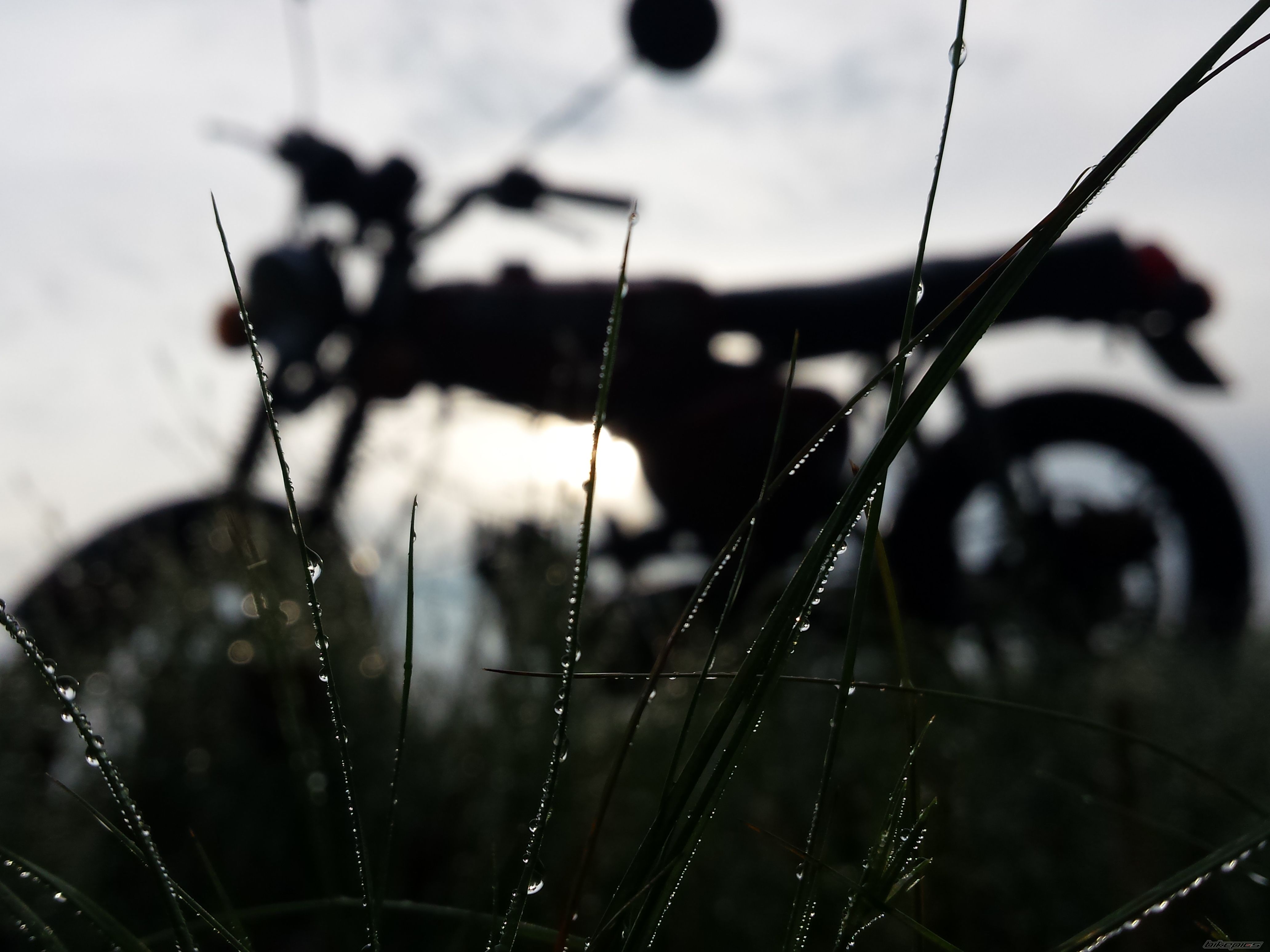 Photo 2702970