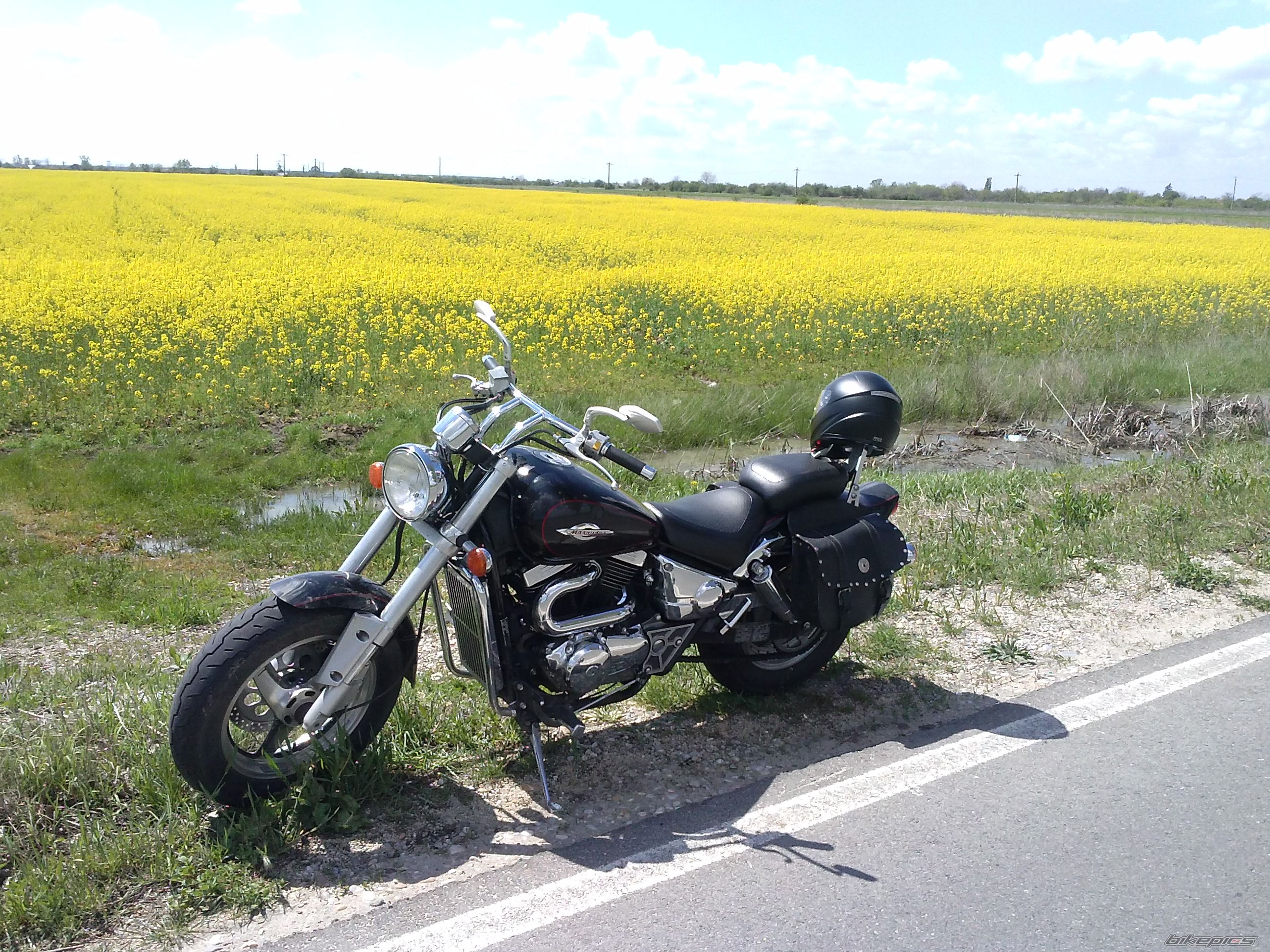 Photo 2703262