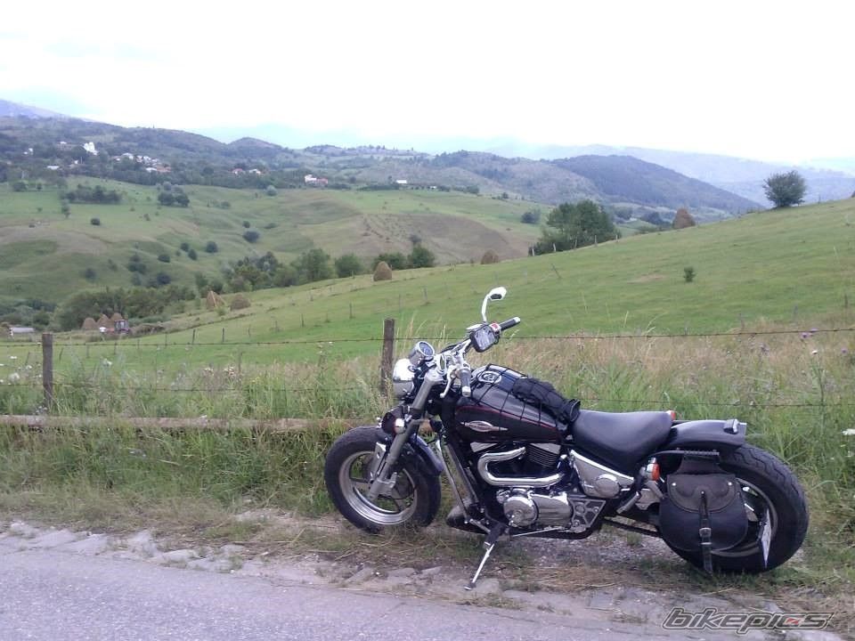 Photo 2703269