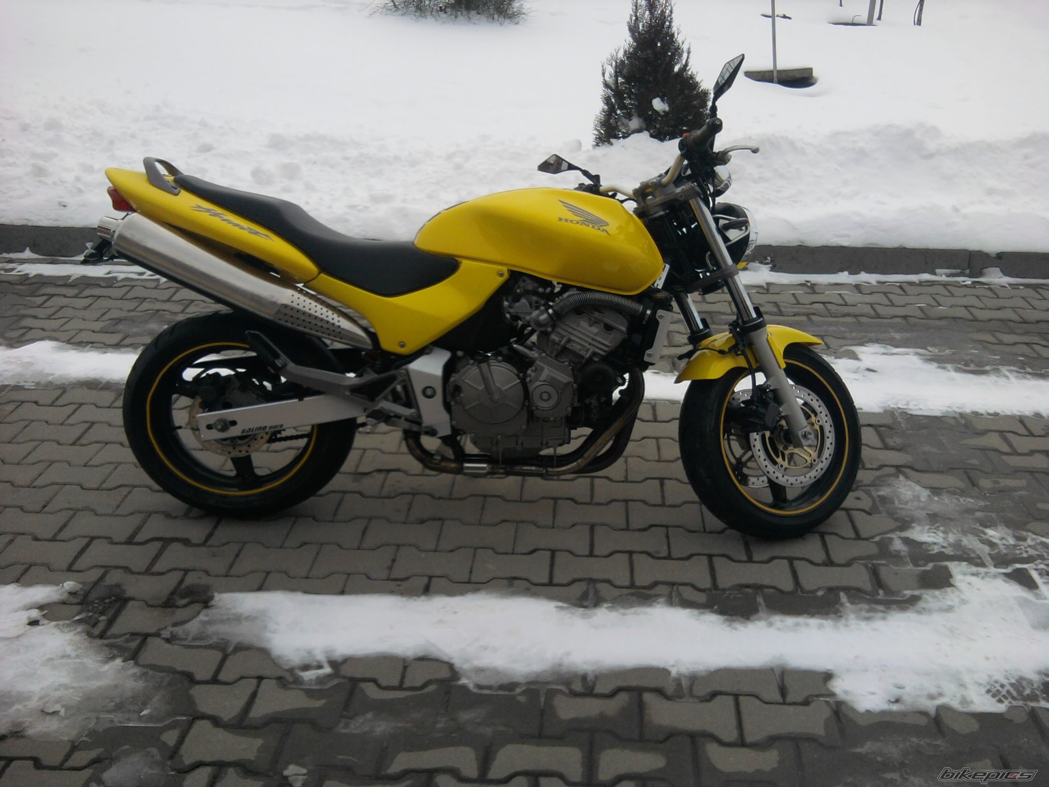Photo 2703446