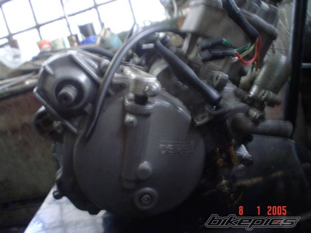 Photo 270364