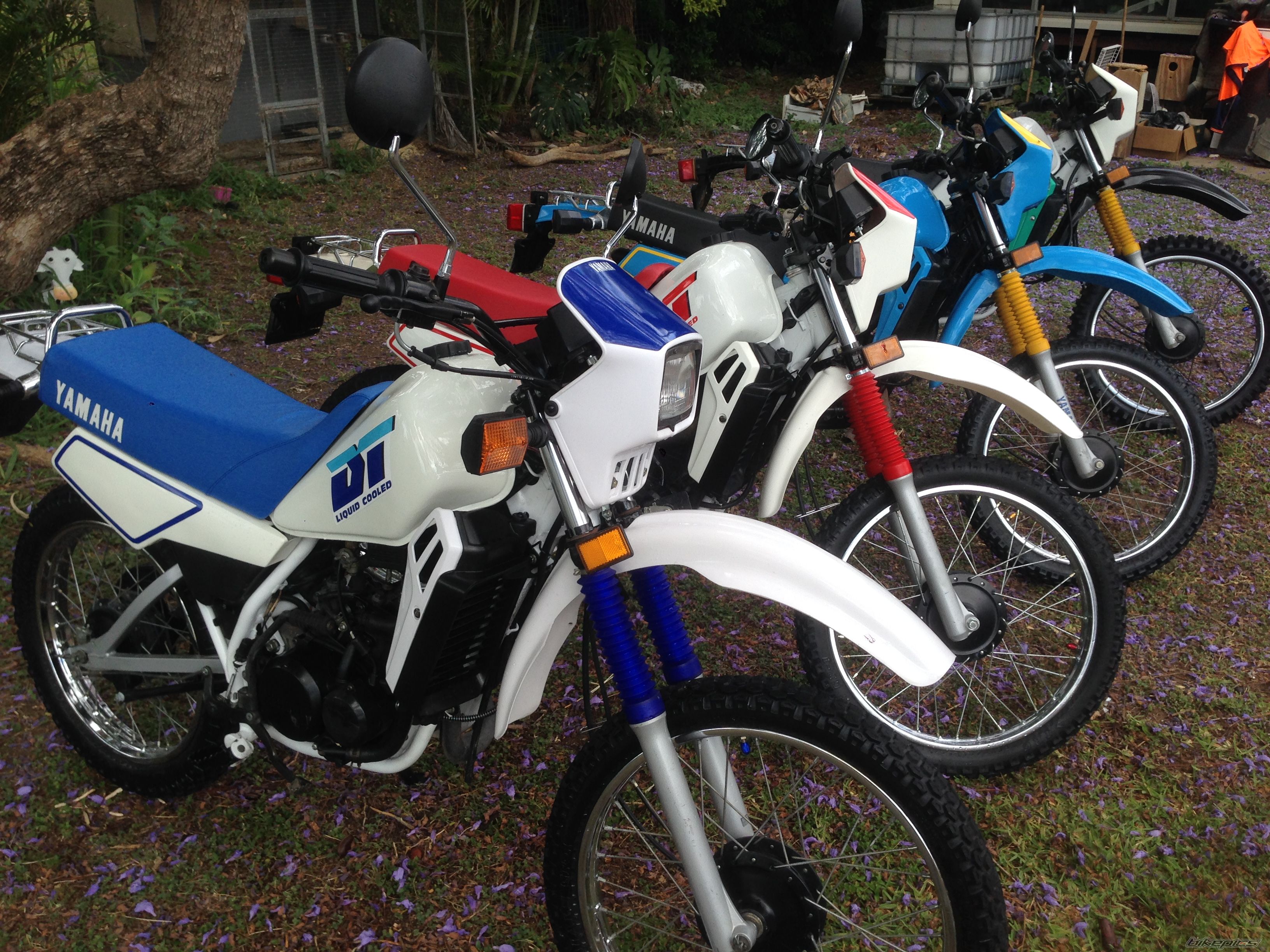 Photo 2703642