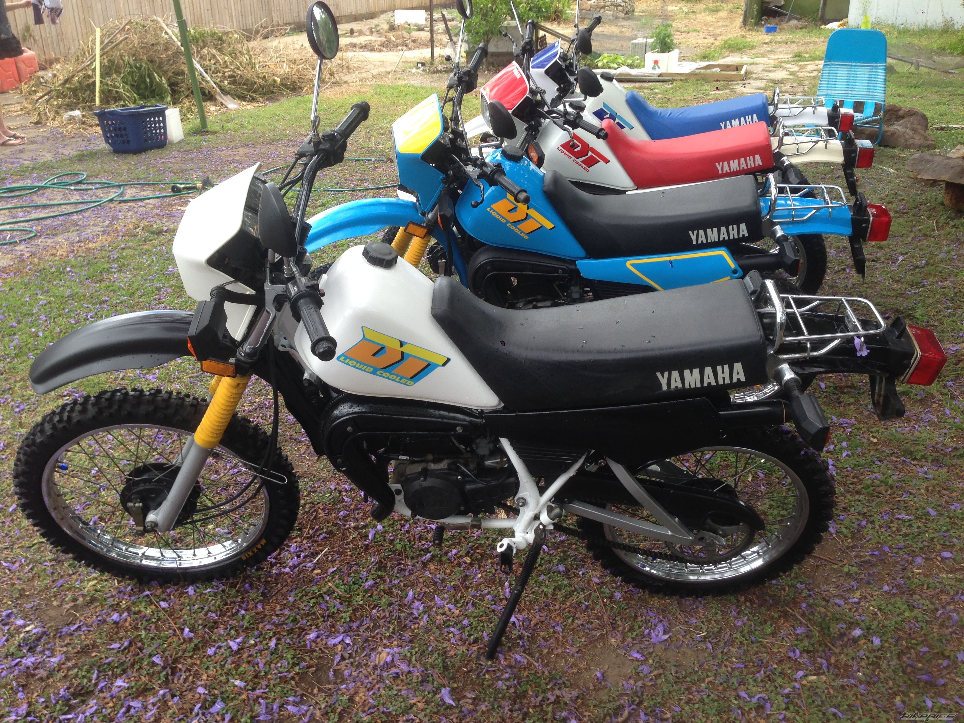 Photo 2703644
